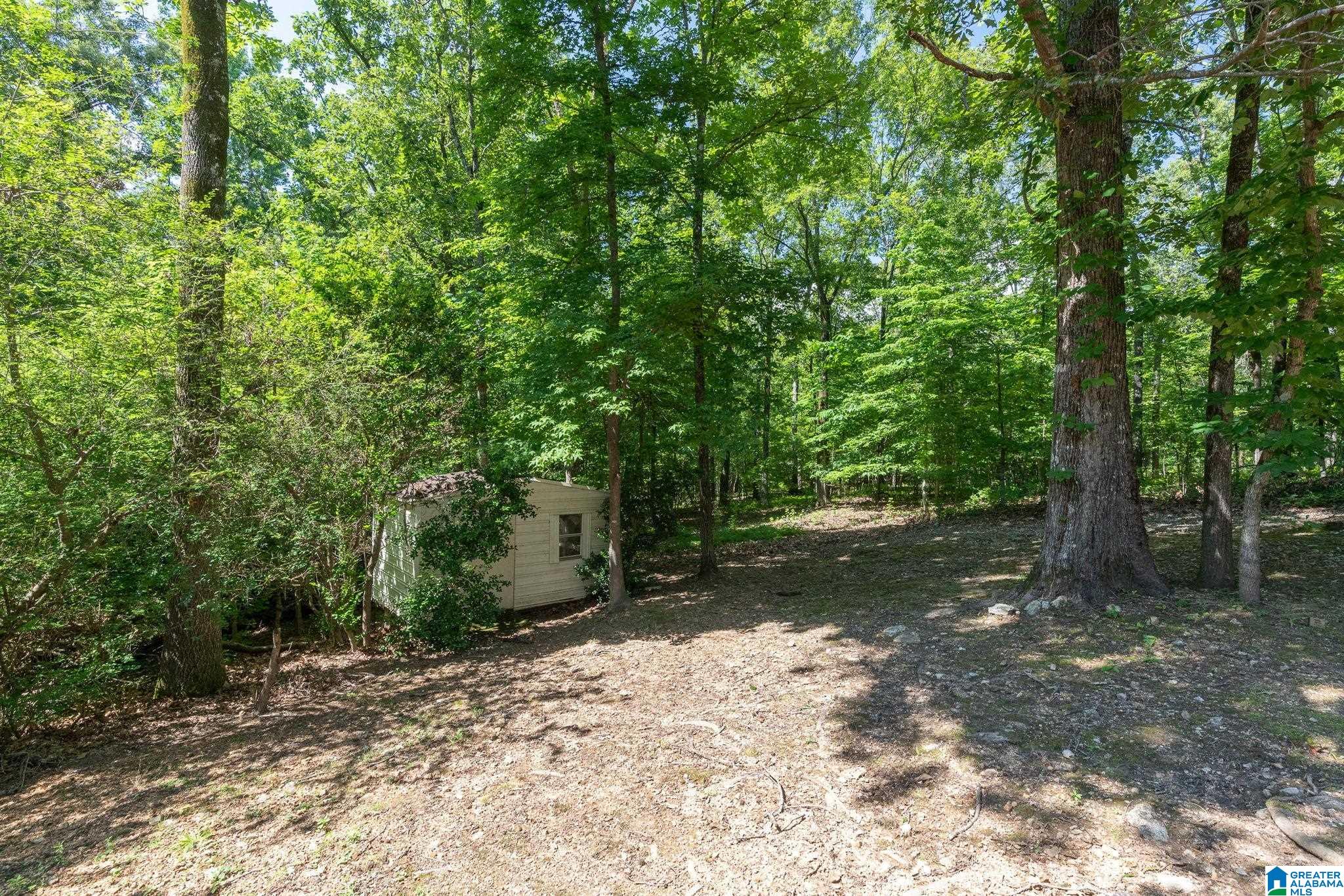 101 Silverleaf Lane Alabaster, AL 35007 - Photo 36 of 36