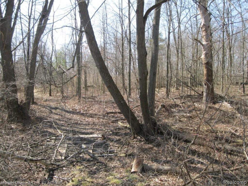 V/l Reese Road Clarkston, MI 48348 - Photo 11 of 24 009.JPG