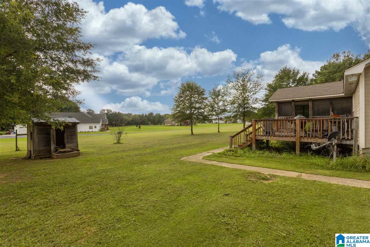 159 Dyers Road Harpersville, AL 35078 - Photo 2 of 23