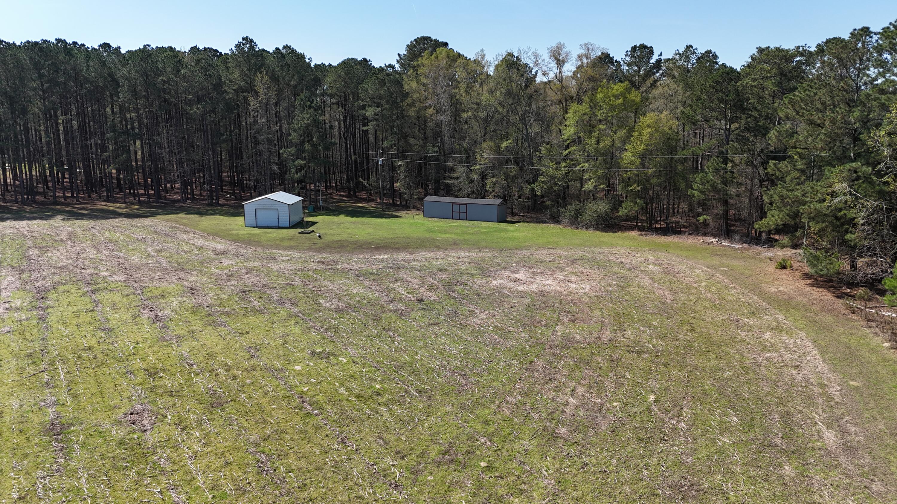 1995 Sam Nexsen Road Summerton, SC 29148 - Photo 55 of 110