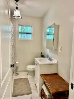 a bathroom with a sink a toilet and mirror