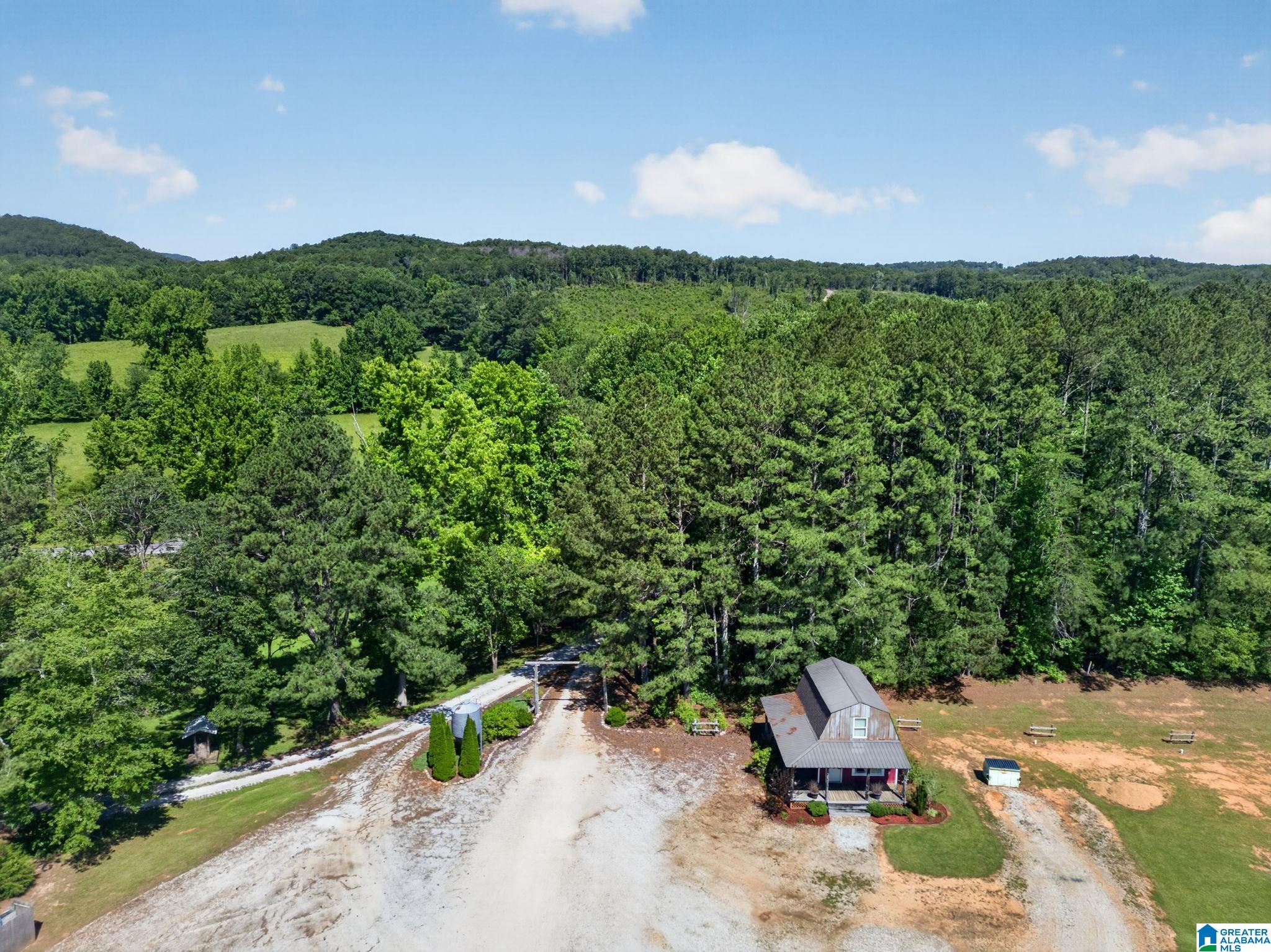 3463 County Road 3 Delta, AL 36258 - Photo 15 of 100