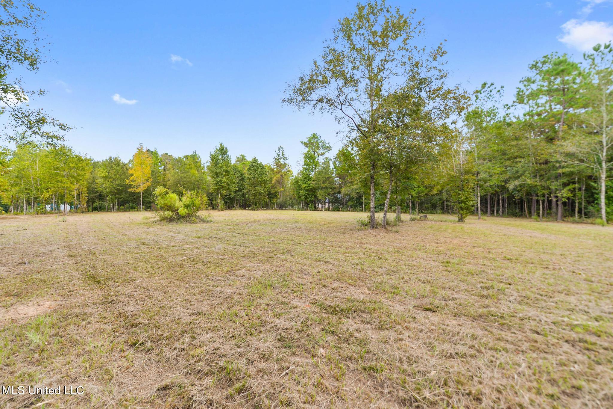 12091 School Road Saucier, MS 39574 - Photo 15 of 18 014