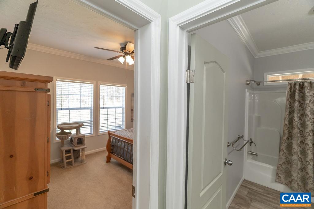 7246 Three Notch Road Louisa, VA 23093 - Photo 37 of 66