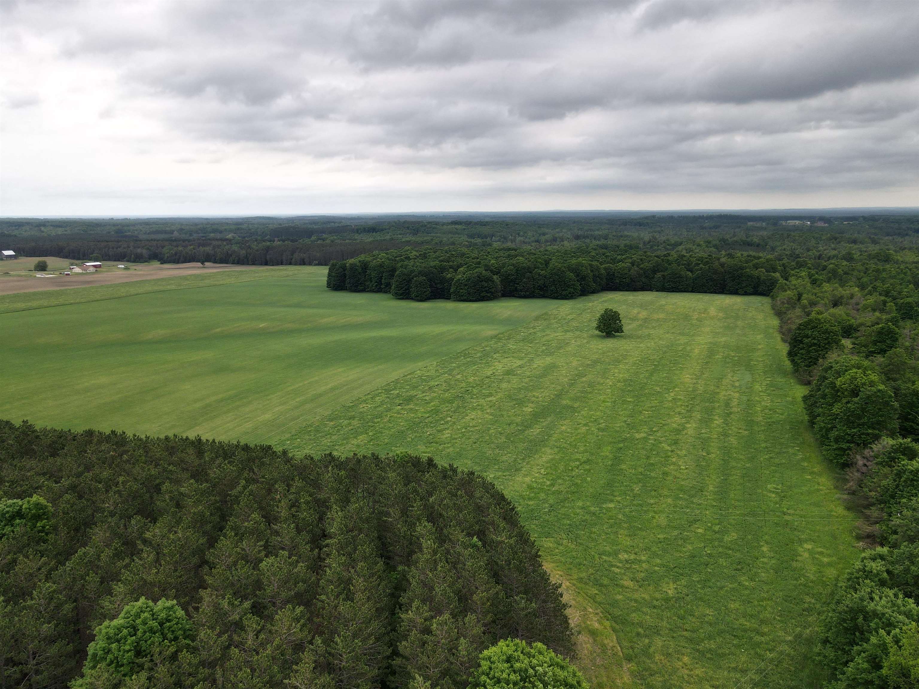 120-acres Blackman Road Kingsley, MI 49649 - Photo 12 of 12