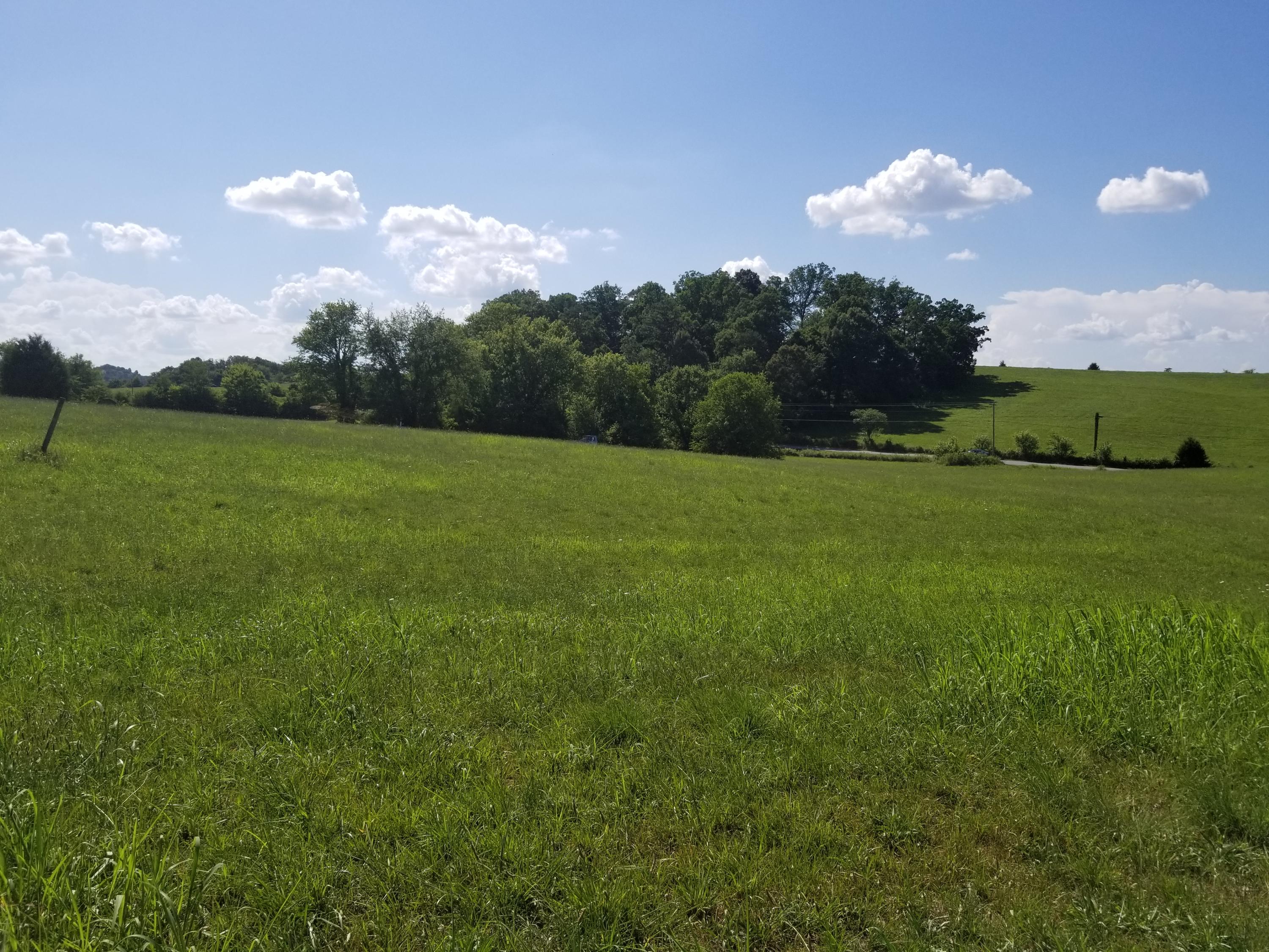 Lot 48 Greystone Road, Unit 48 Greeneville, TN 37743 - Photo 5 of 11 20200709_164207