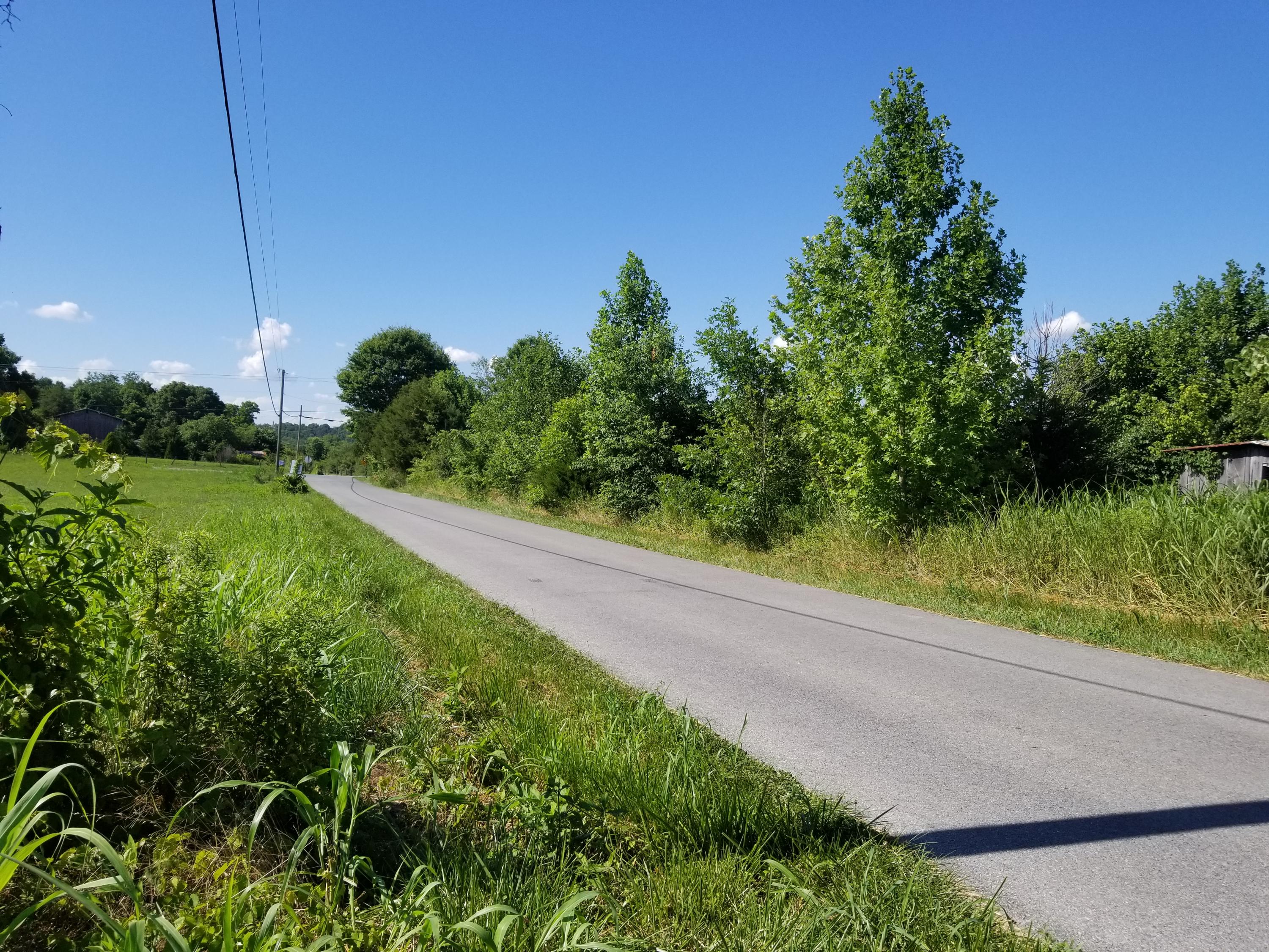 Lot 48 Greystone Road, Unit 48 Greeneville, TN 37743 - Photo 10 of 11 20200709_164951