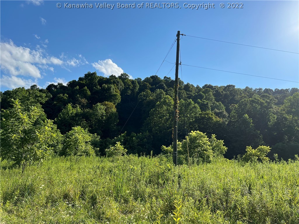 0 Debbie Road Leon, WV 25123 - Photo 3 of 5 Gallery Image 3