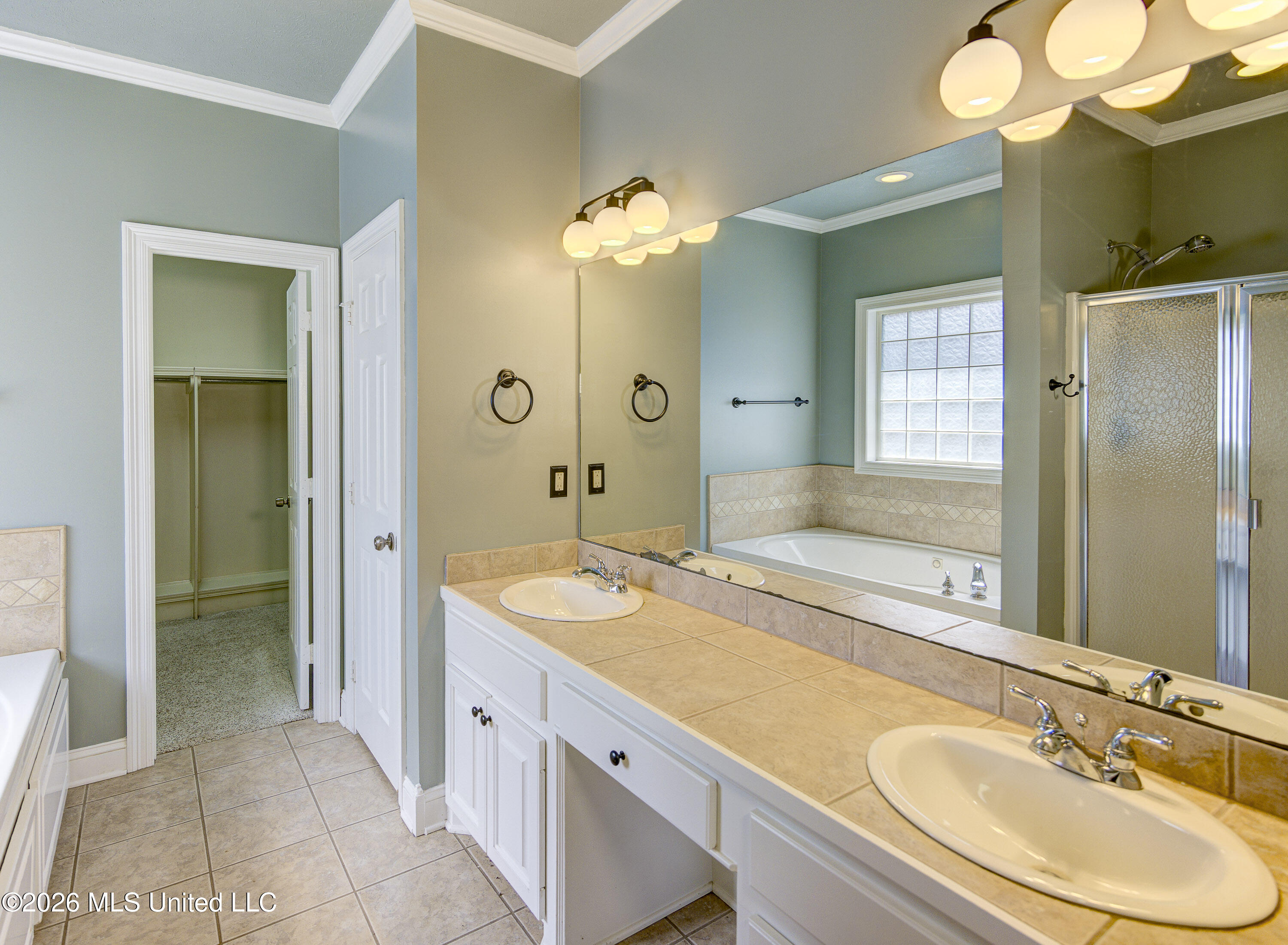 137 Baileys Ridge Circle Clinton, MS 39056 - Photo 32 of 67 30 Primary Bathroom 2