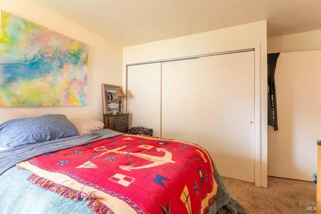 a bedroom with a large bed and a potted plant