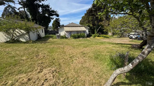 a view of a garden with large trees