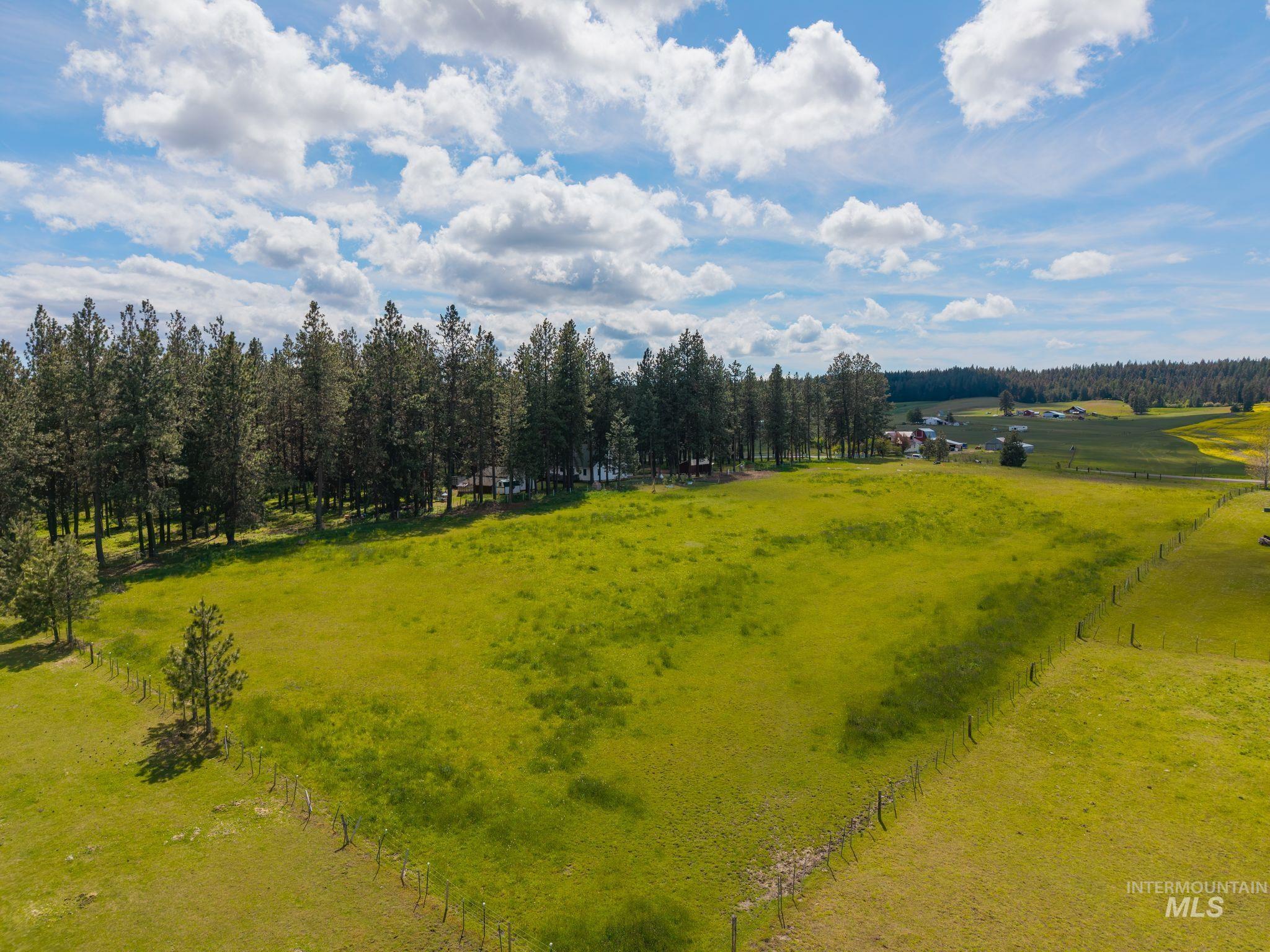 1820 Winchester Road Winchester, ID 83555 - Photo 46 of 50 Expansive green field surrounded by mature evergreen trees