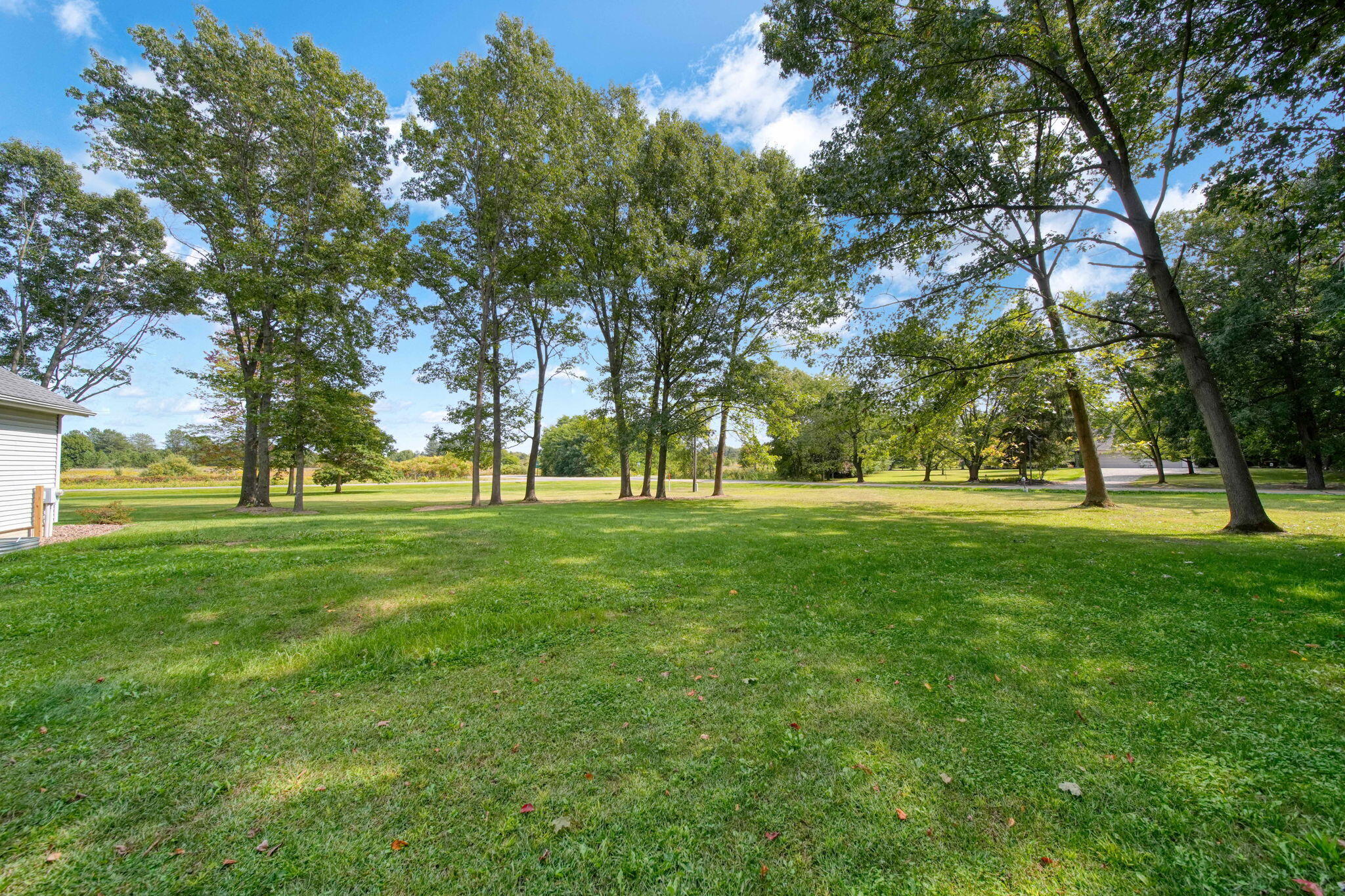 10000 Somerville Road Rives Junction, MI 49277 - Photo 65 of 83 71-web-or-mls-DSC05737_HDR