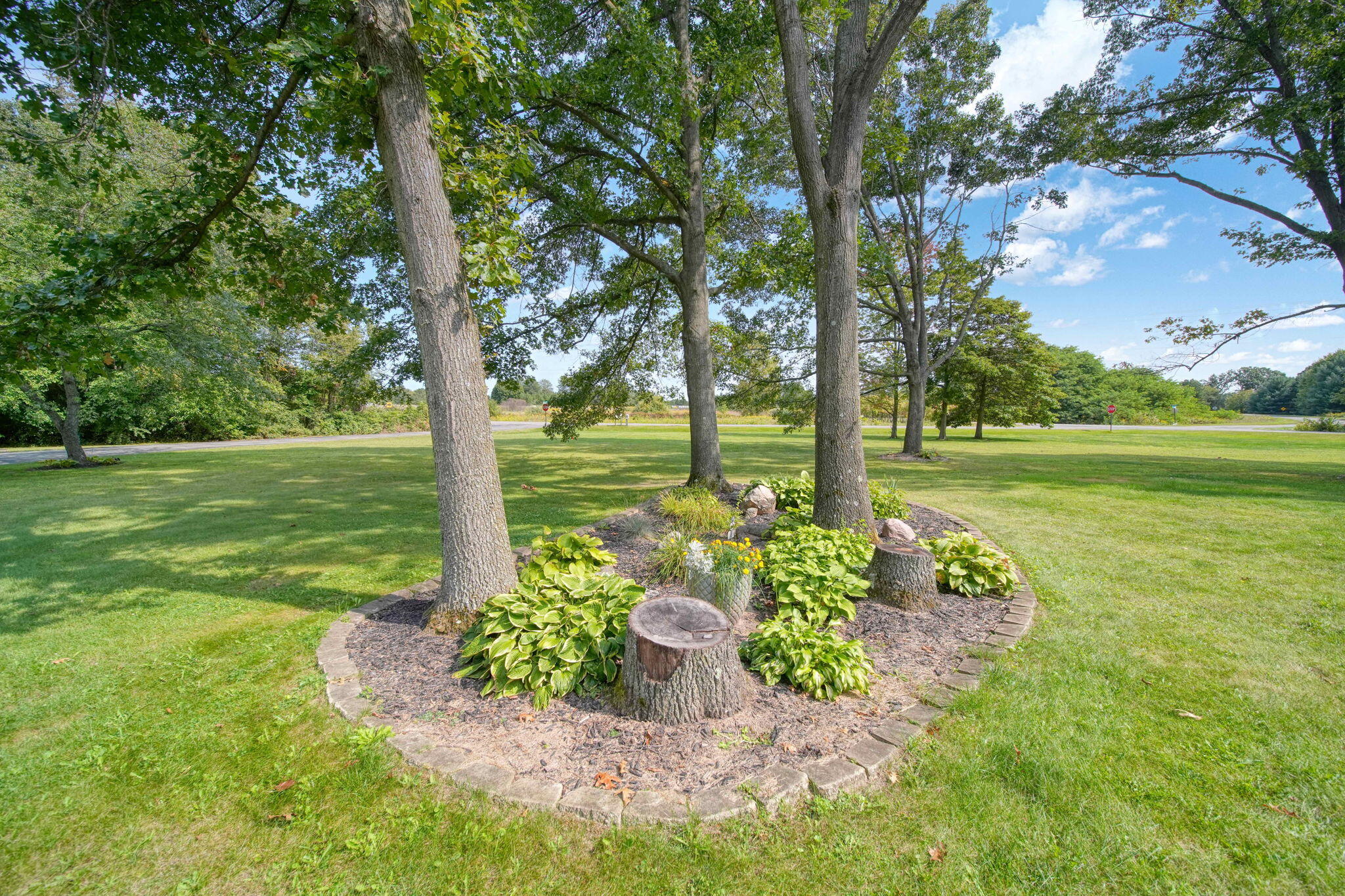 10000 Somerville Road Rives Junction, MI 49277 - Photo 66 of 83 5-web-or-mls-DSC05749_HDR