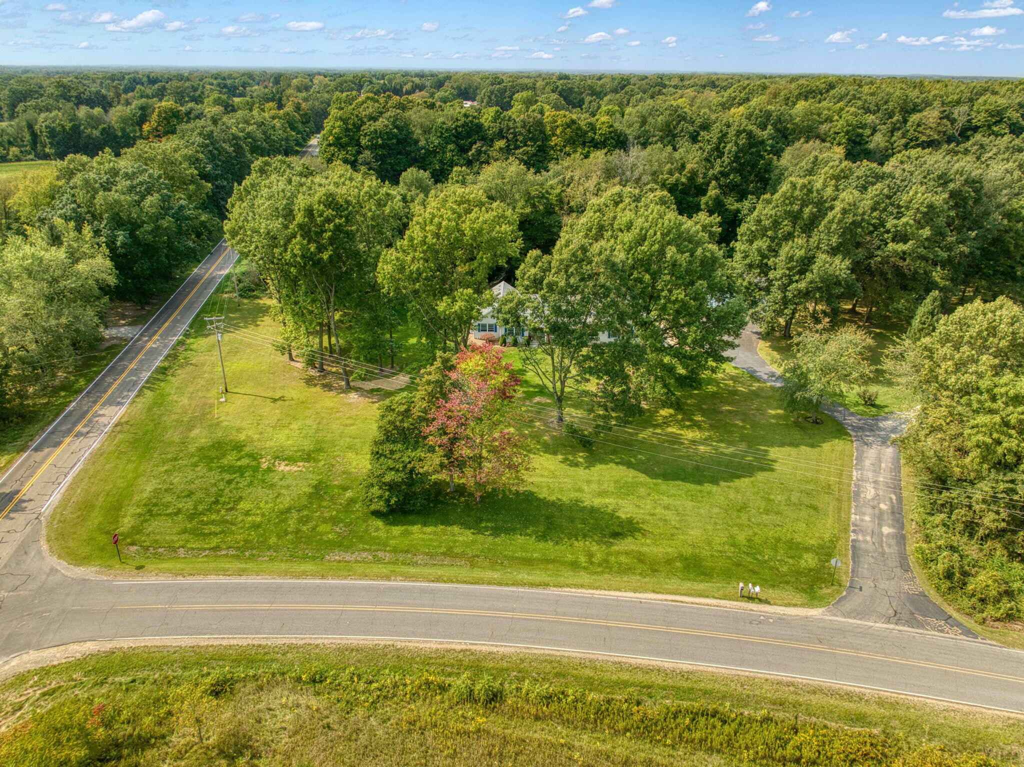 10000 Somerville Road Rives Junction, MI 49277 - Photo 76 of 83 83-web-or-mls-DJI_0692_HDR