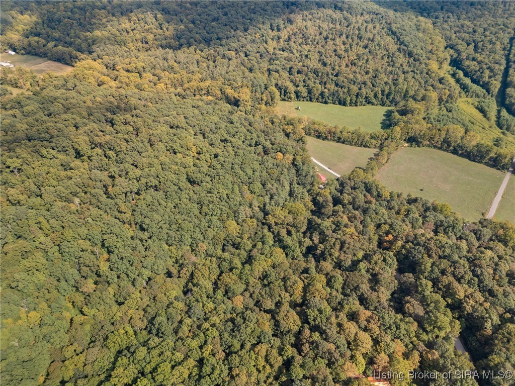 0 East Bogard Hollow Road English, IN 47118 - Photo 10 of 14