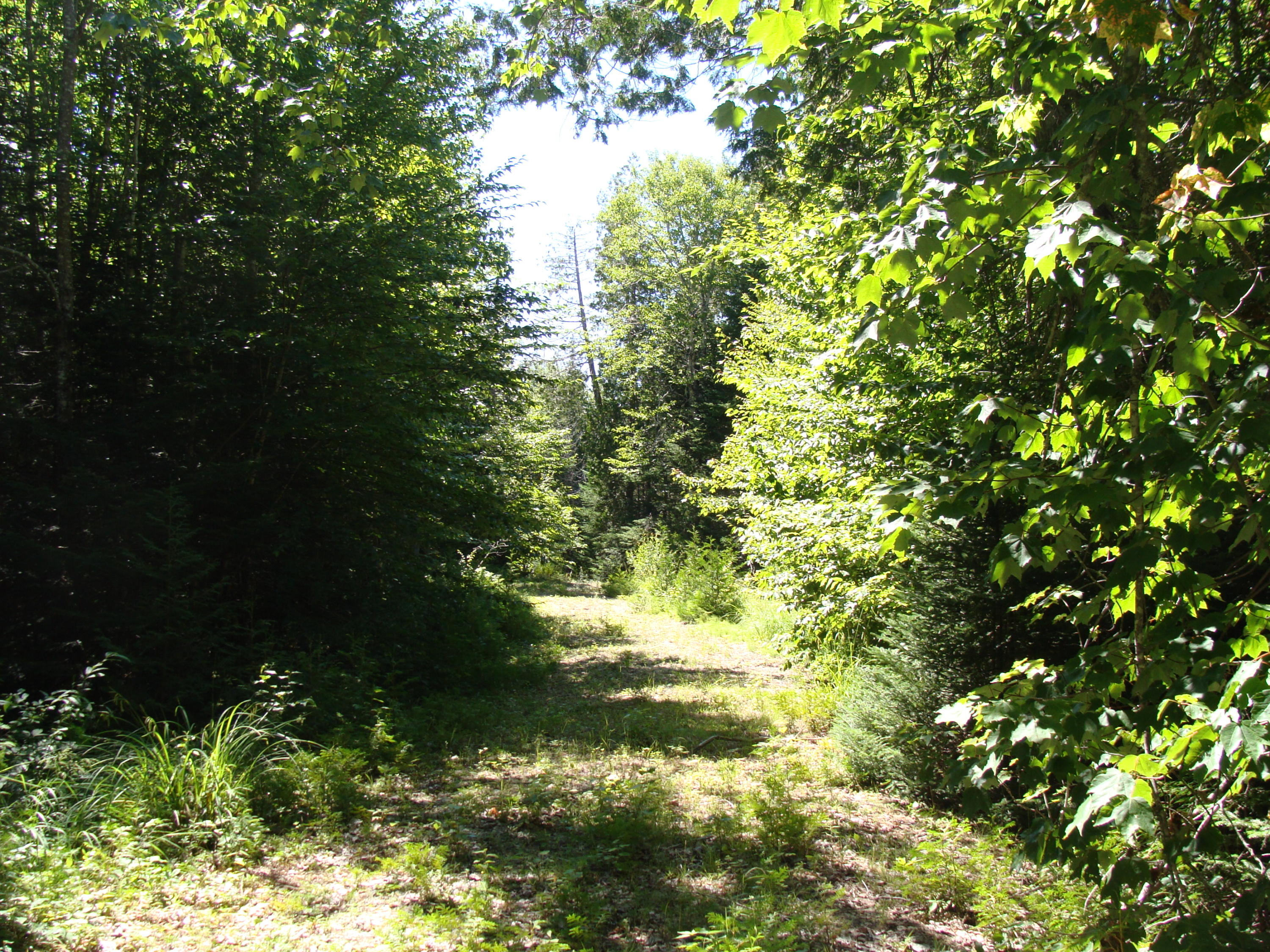 0 Stagecoach Road Dennysville, ME 04628 - Photo 6 of 7 DSC05069