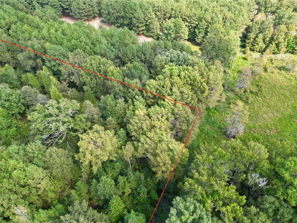 0 Rudd Road Ida, LA 71044 - Photo 9 of 16 Additional content