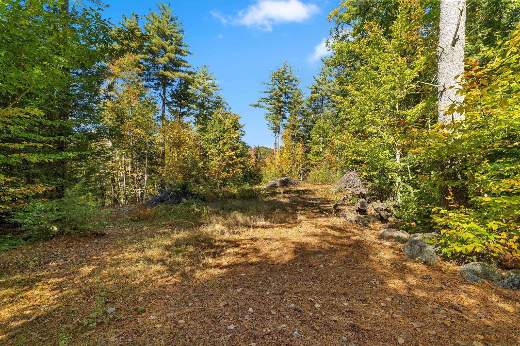 91 Wolf Hill Road Deering, NH 03244 - Photo 19 of 24
