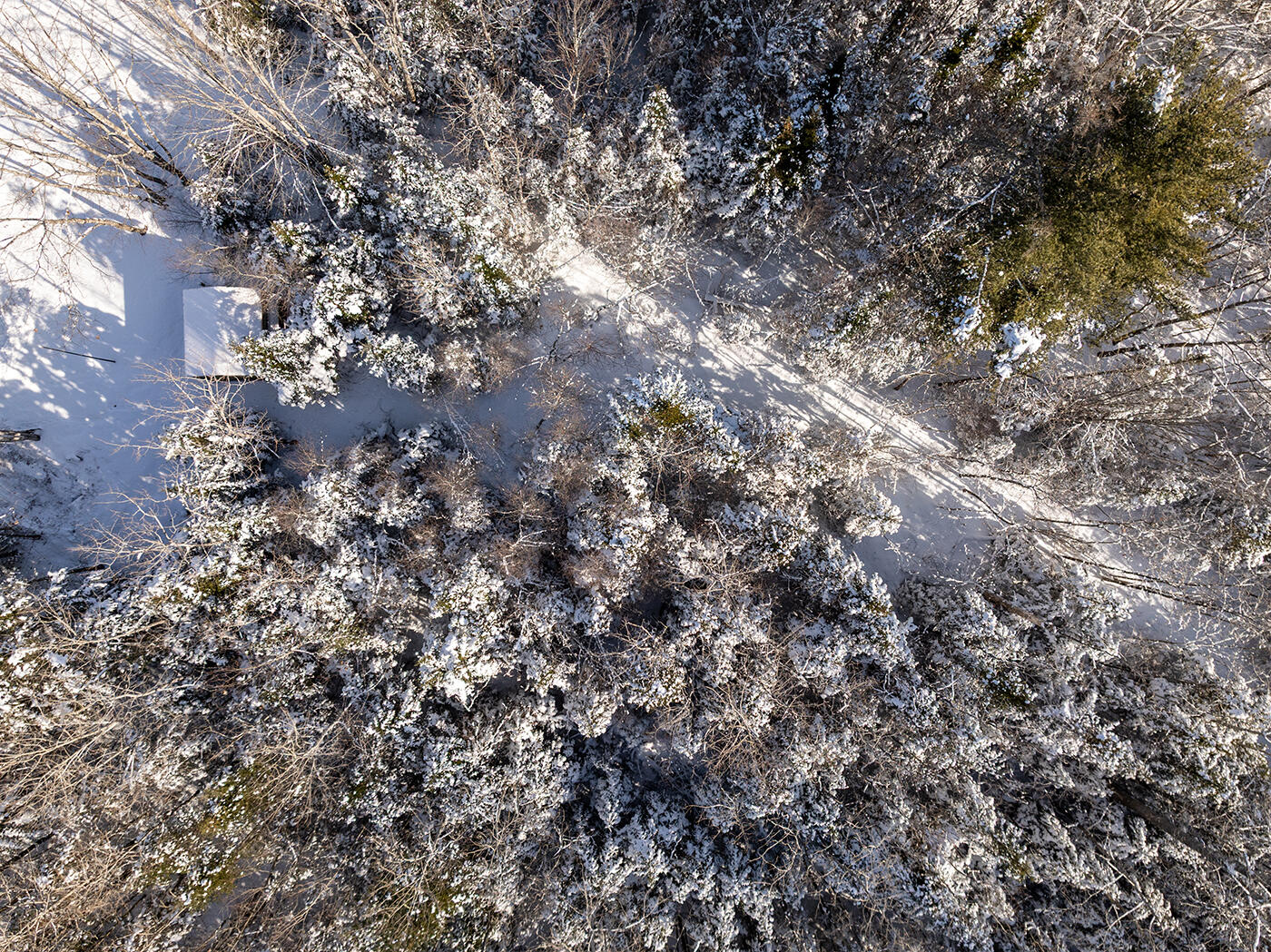186 Pistols N Petals Road Warren, ME 04864 - Photo 35 of 43 DJI_0488