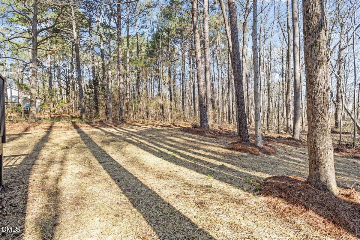 3205 Tarboro Road Youngsville, NC 27596 - Photo 8 of 30 Backyard