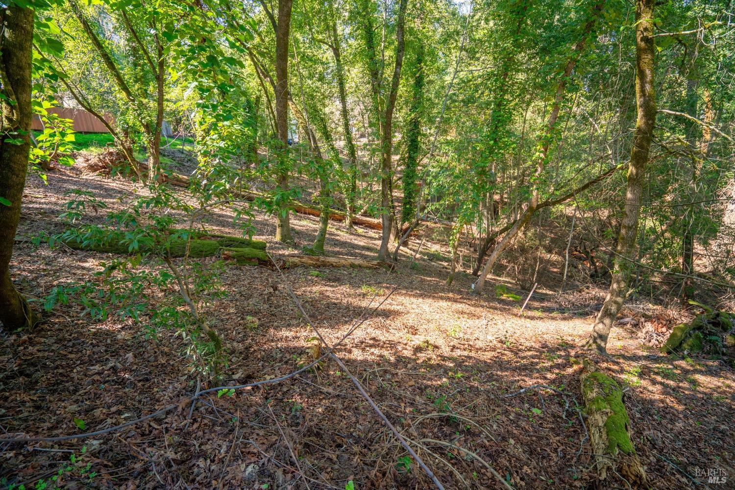 10612 Canyon Road Forestville, CA 95436 - Photo 7 of 19 a backyard of a house with lots of green space