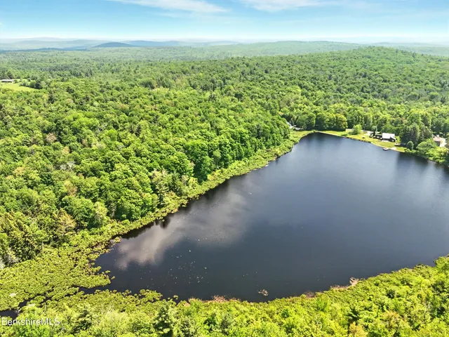 a view of a lake with a city