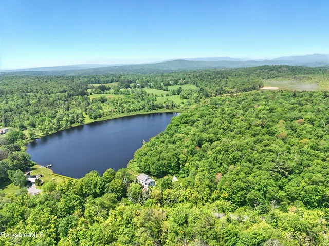 a view of a lake with a city view