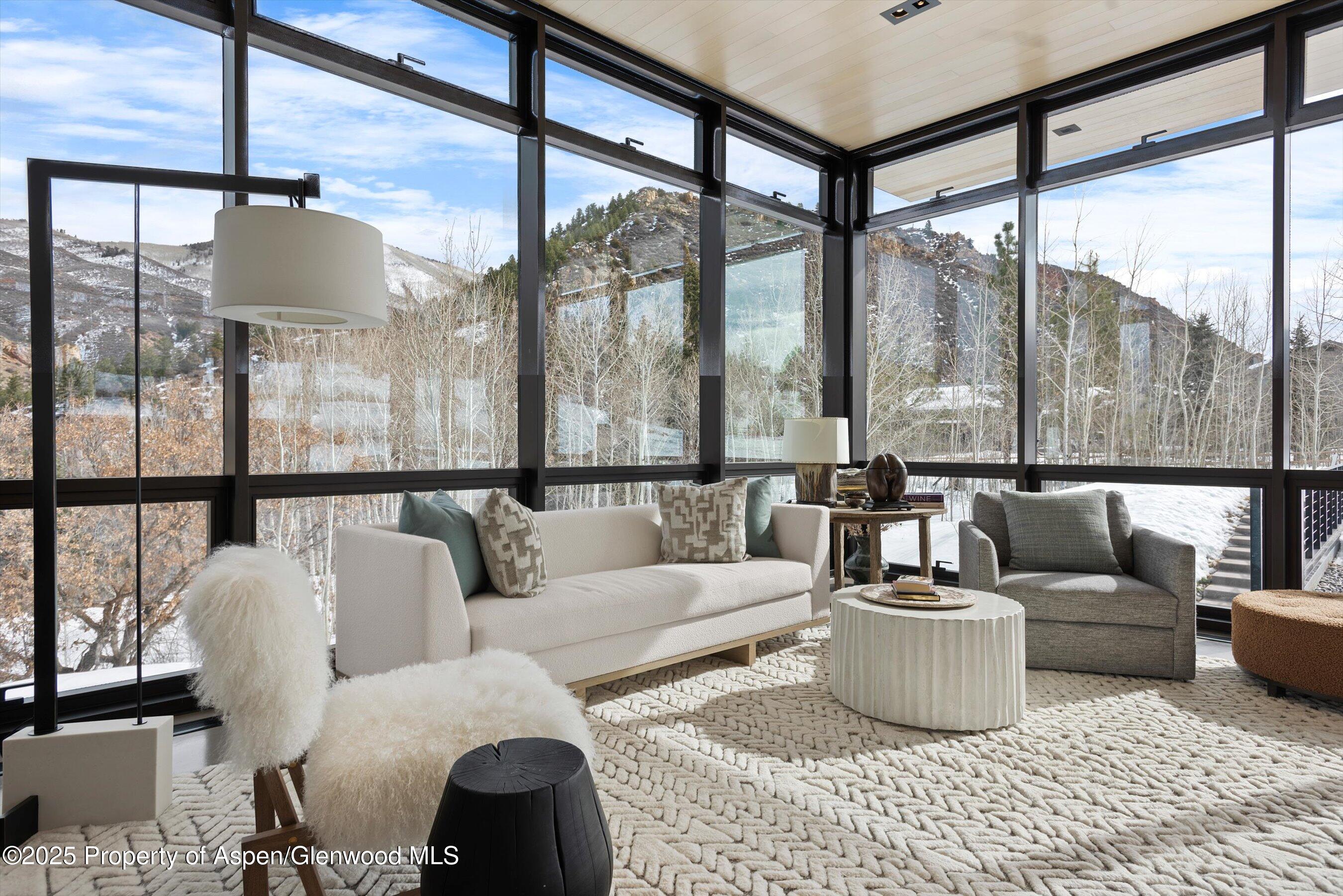 276 Coach Road Aspen, CO 81611 - Photo 4 of 54 a living room with furniture and a potted plant