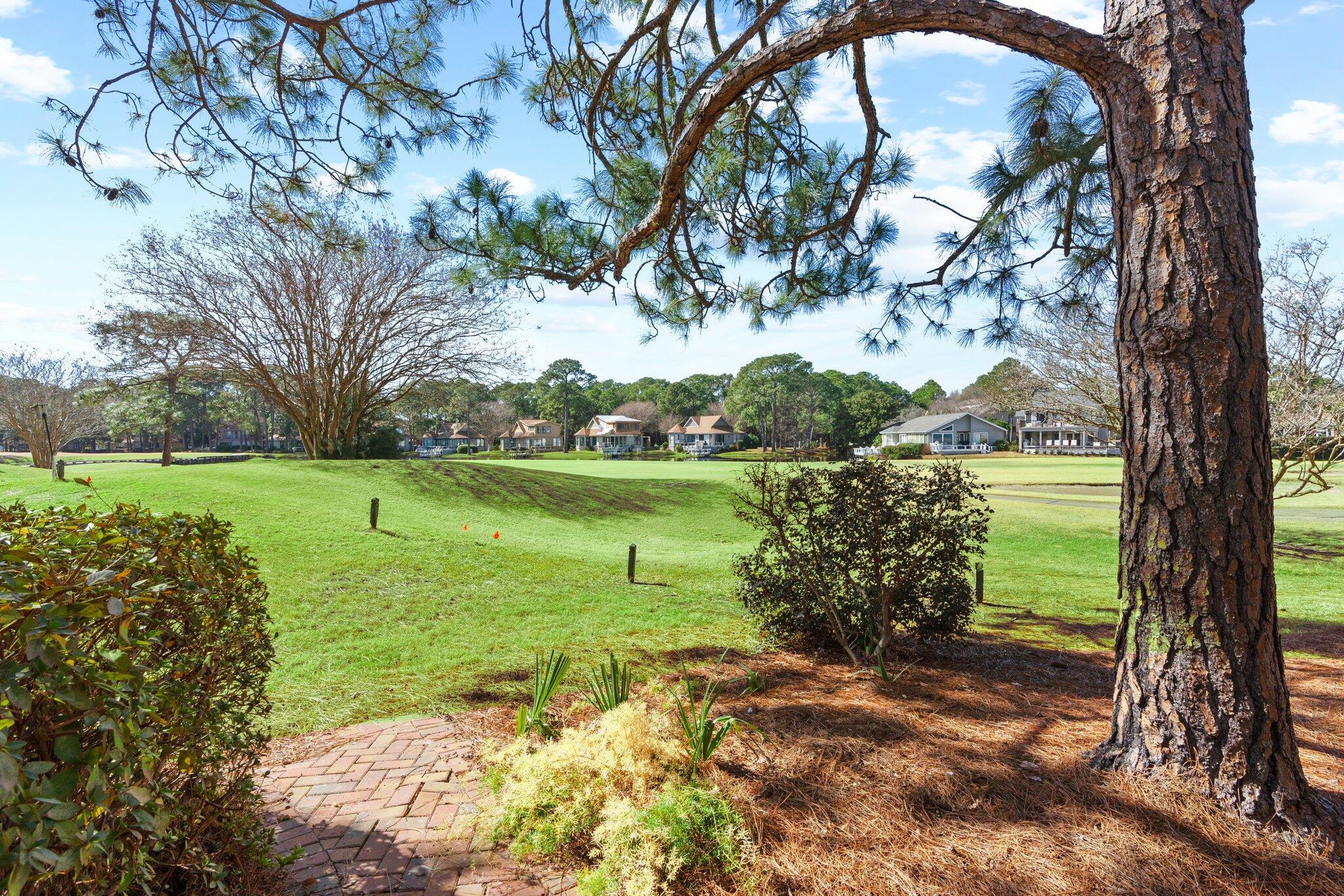 55 Vantage Point Miramar Beach, FL 32550 - Photo 33 of 38 a view of a garden with a tree