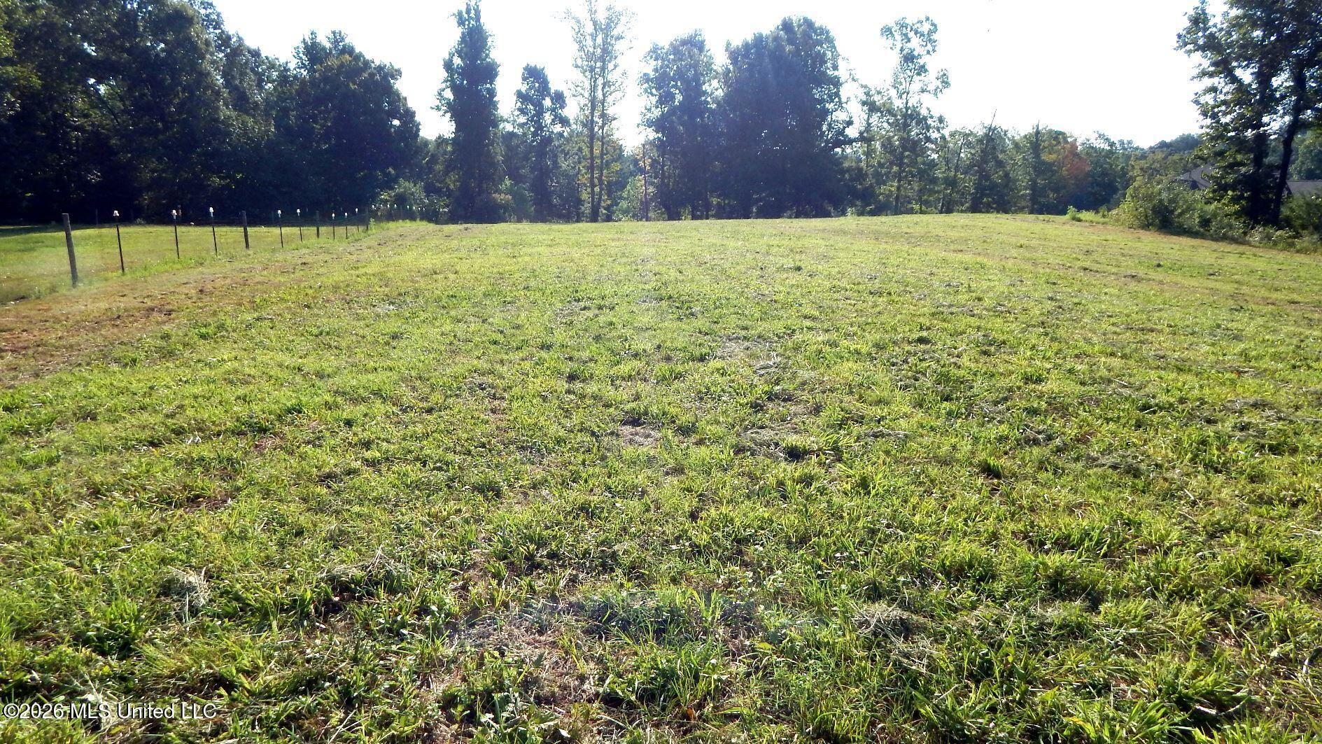 400 Arkabutla Dam Road Coldwater, MS 38618 - Photo 4 of 15 DSCN7559
