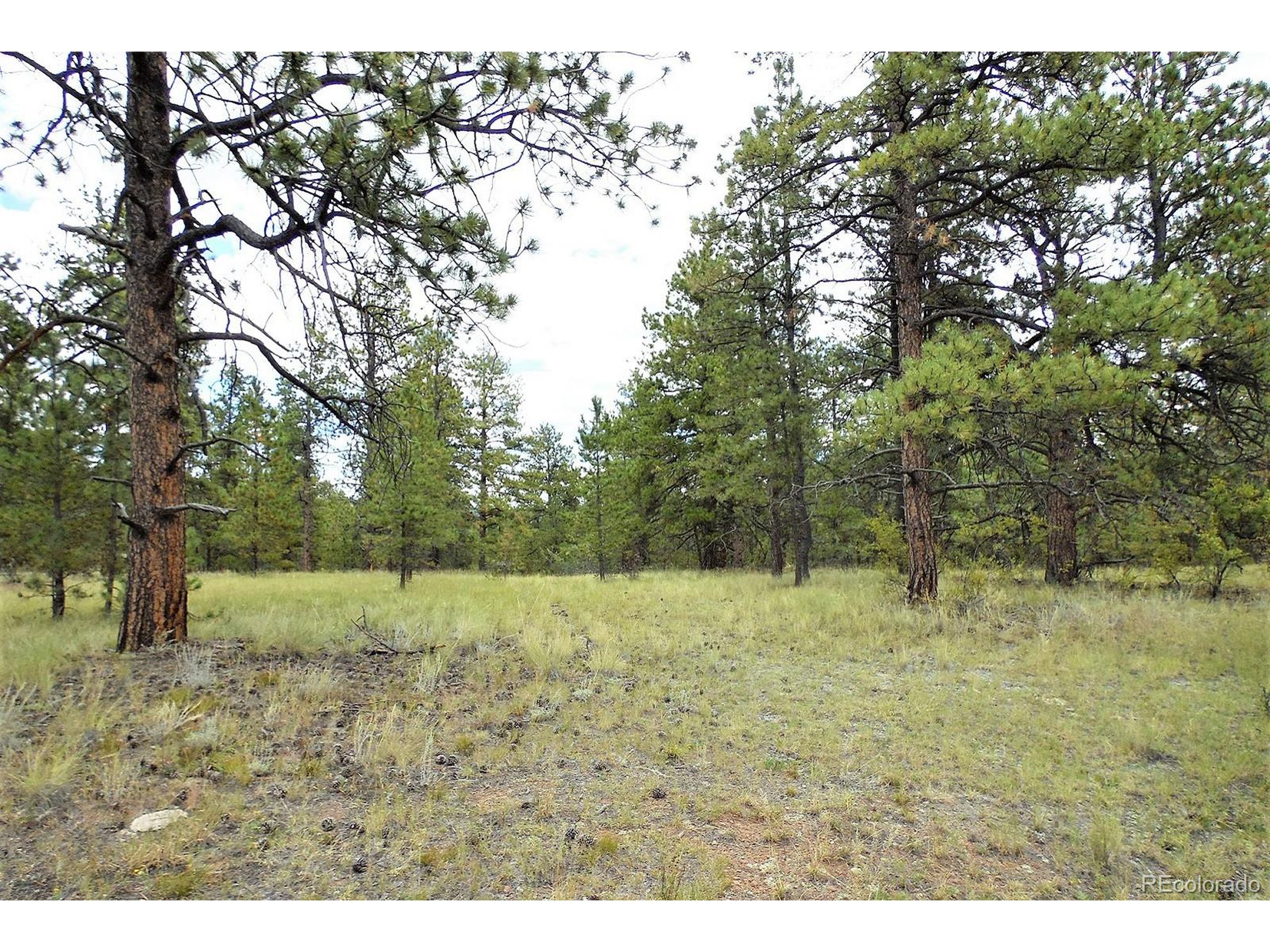 35 Doe Valley Road Guffey, CO 80820 - Photo 15 of 40