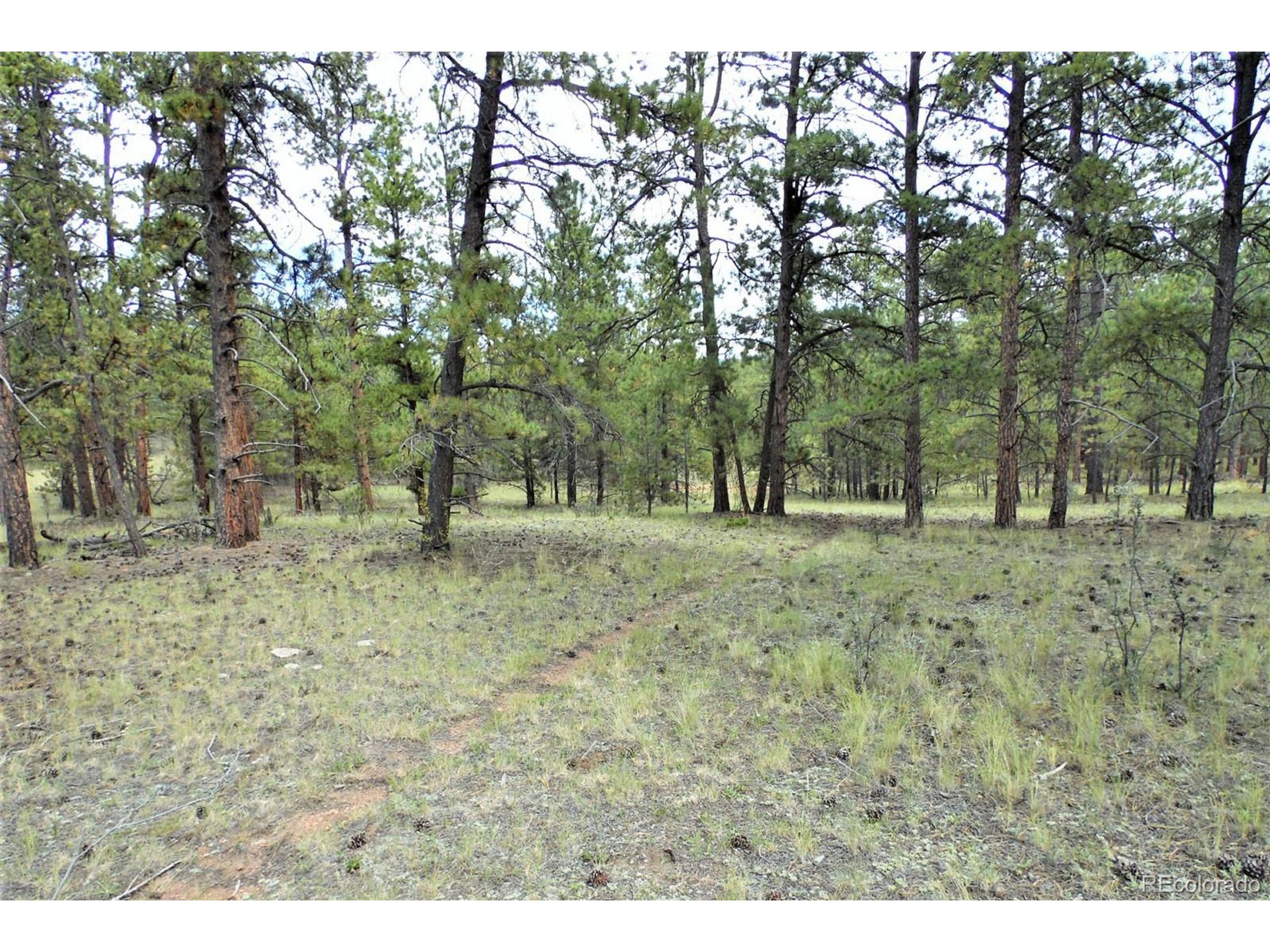 35 Doe Valley Road Guffey, CO 80820 - Photo 17 of 40