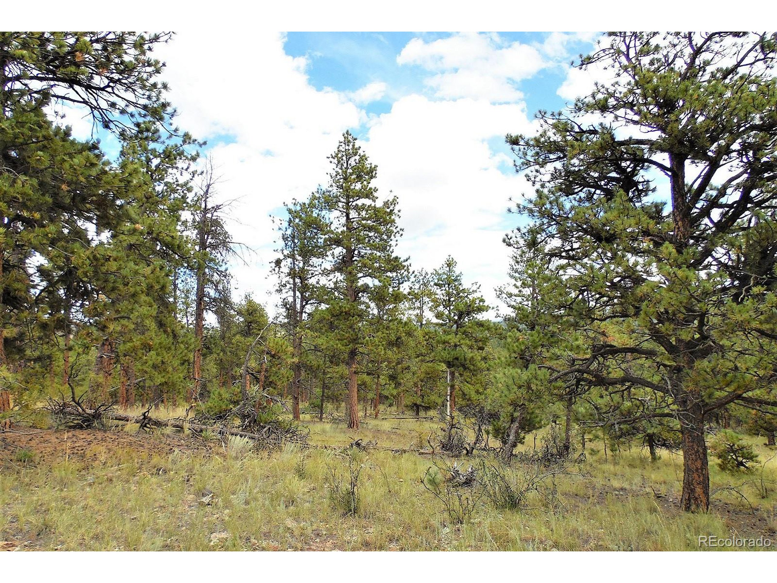 35 Doe Valley Road Guffey, CO 80820 - Photo 25 of 40