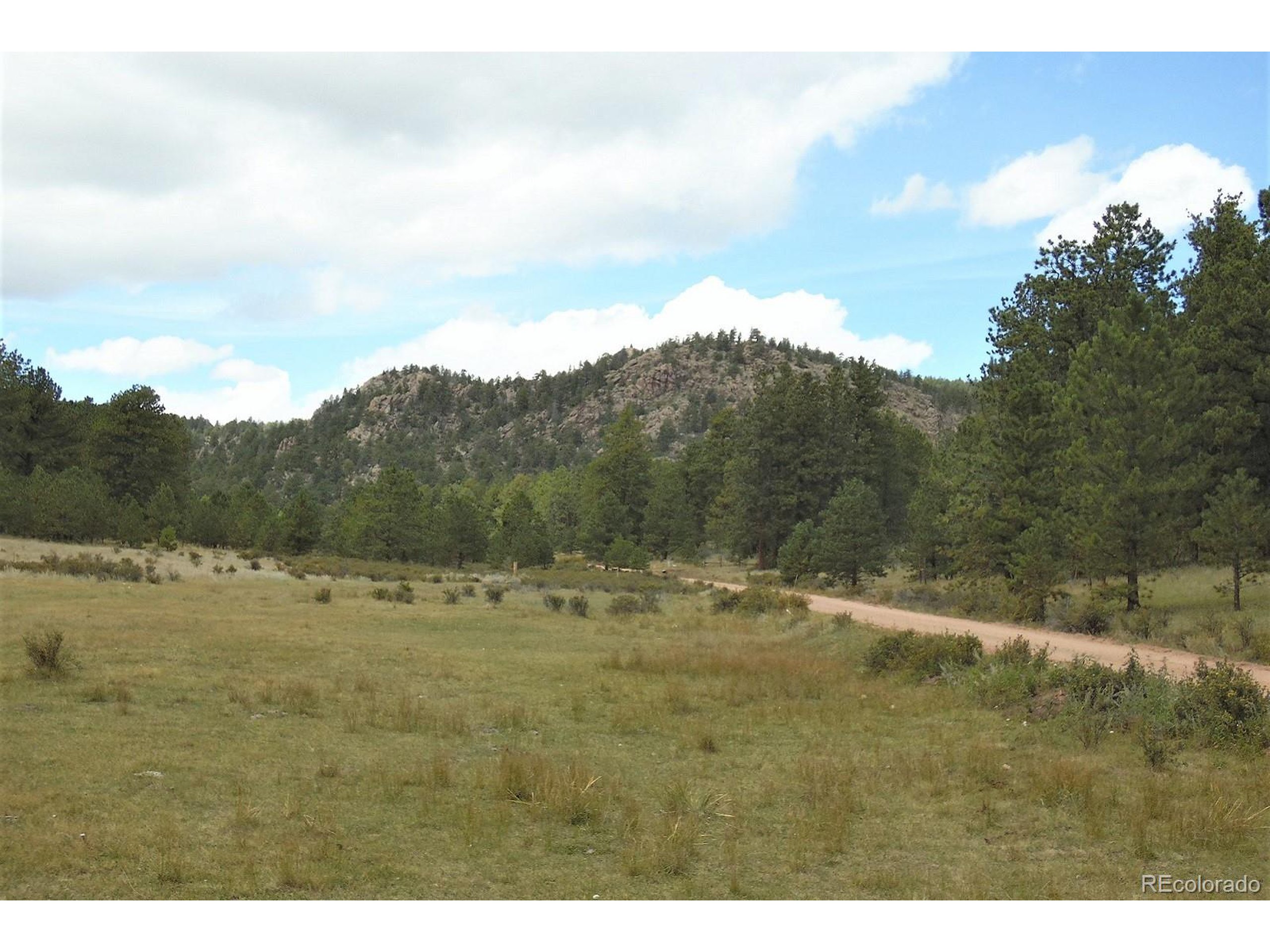 35 Doe Valley Road Guffey, CO 80820 - Photo 3 of 40