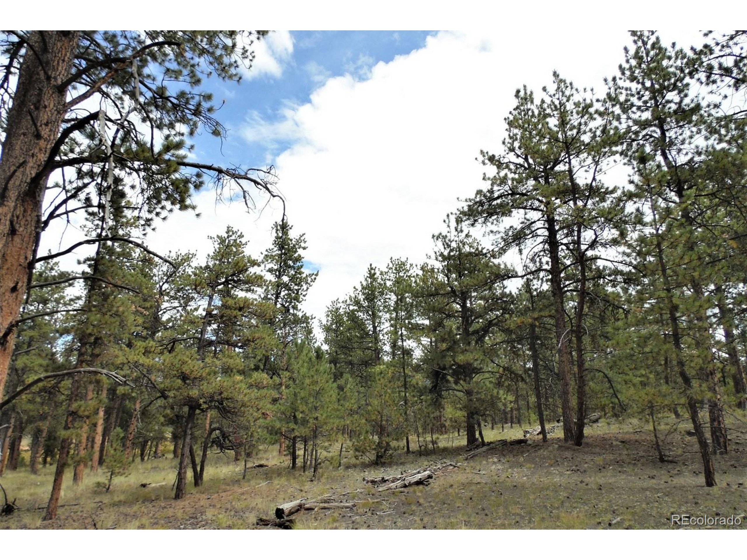 35 Doe Valley Road Guffey, CO 80820 - Photo 31 of 40