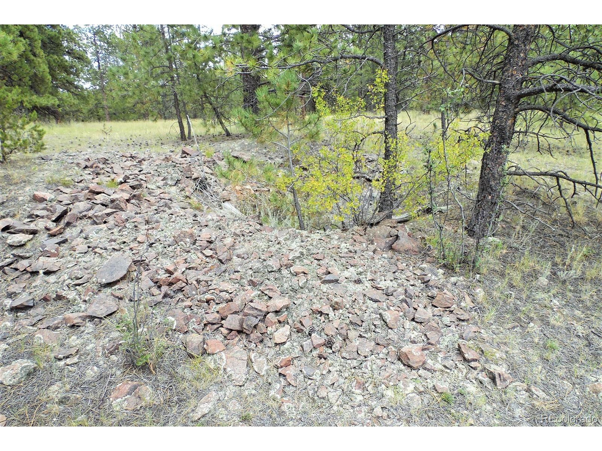 35 Doe Valley Road Guffey, CO 80820 - Photo 33 of 40
