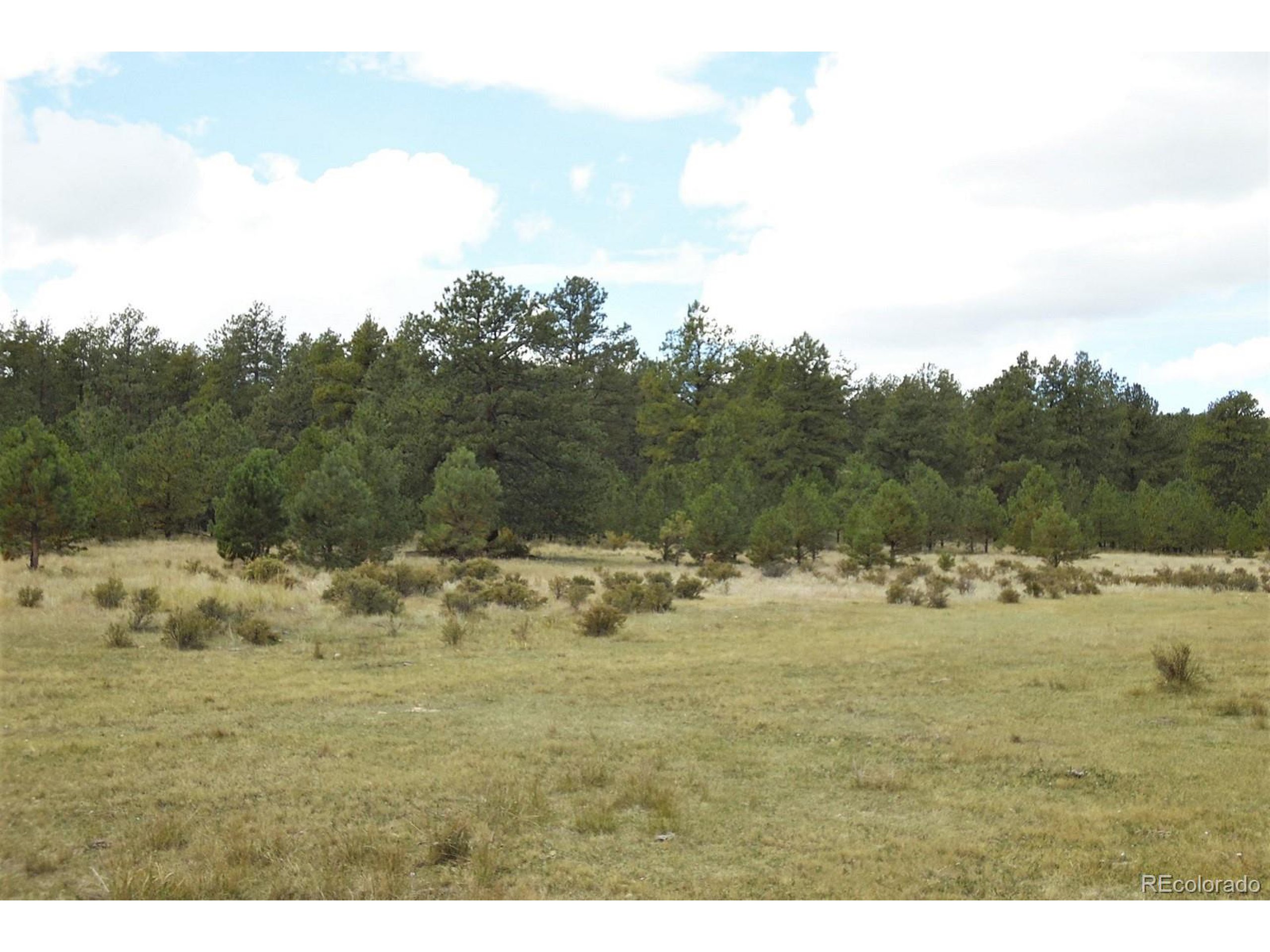 35 Doe Valley Road Guffey, CO 80820 - Photo 4 of 40