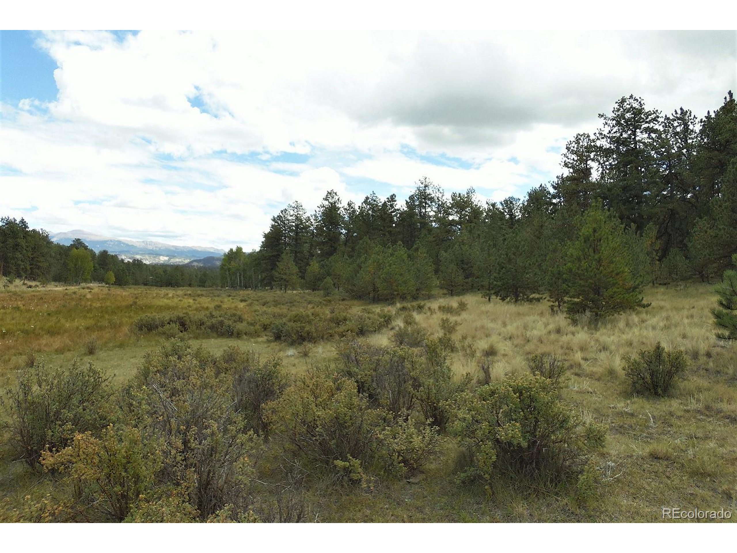 35 Doe Valley Road Guffey, CO 80820 - Photo 5 of 40