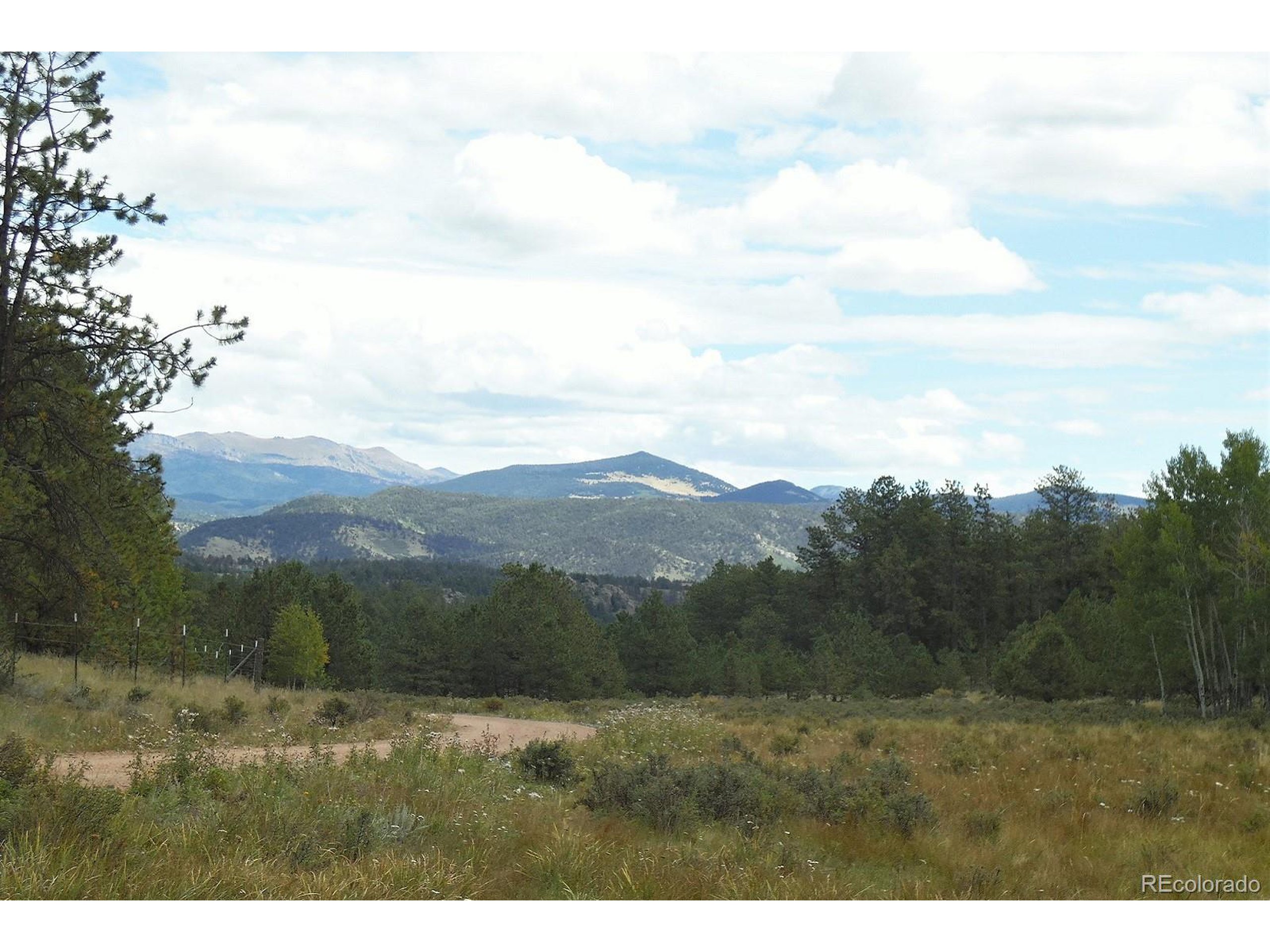 35 Doe Valley Road Guffey, CO 80820 - Photo 6 of 40