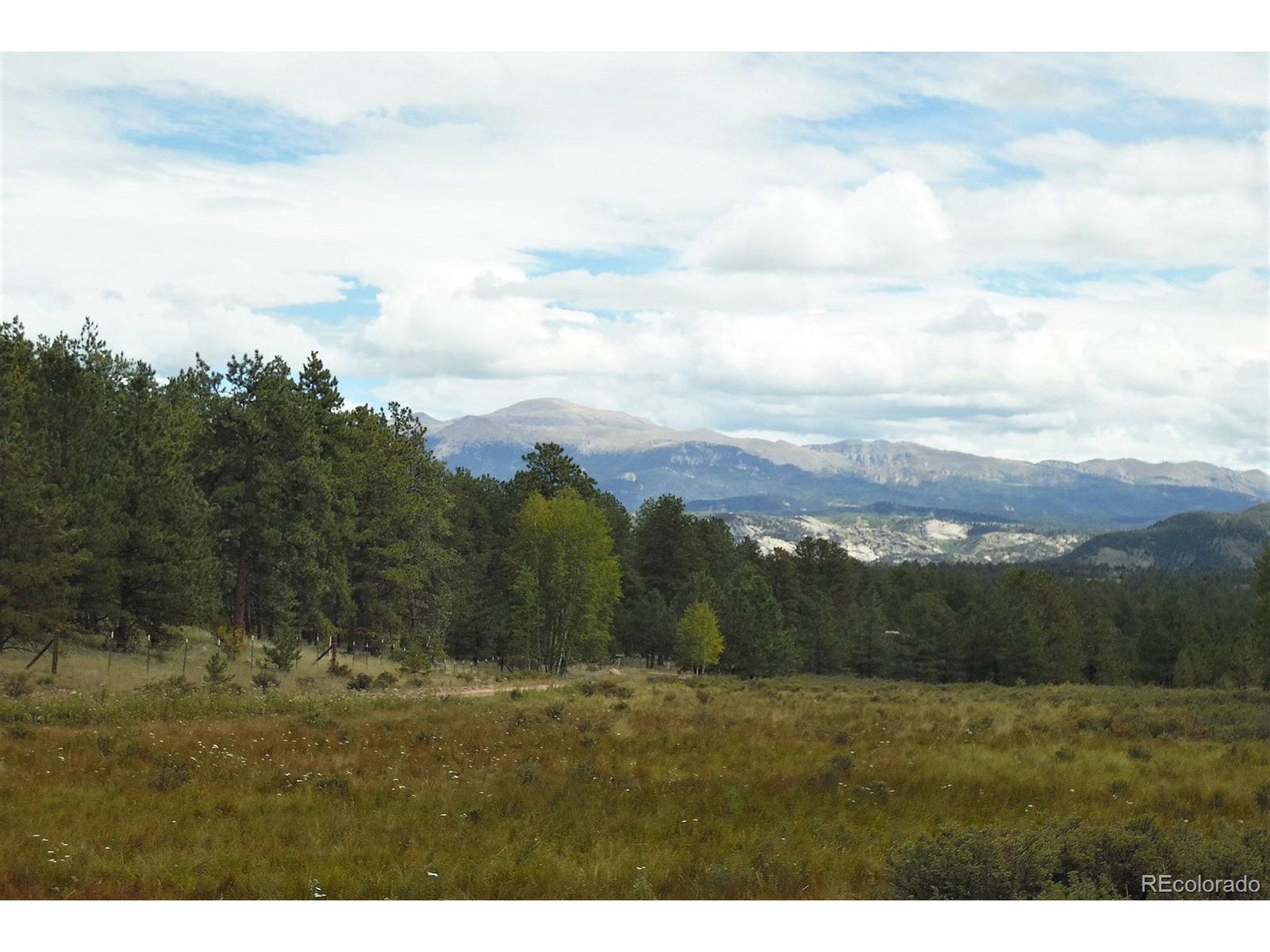 35 Doe Valley Road Guffey, CO 80820 - Photo 8 of 40
