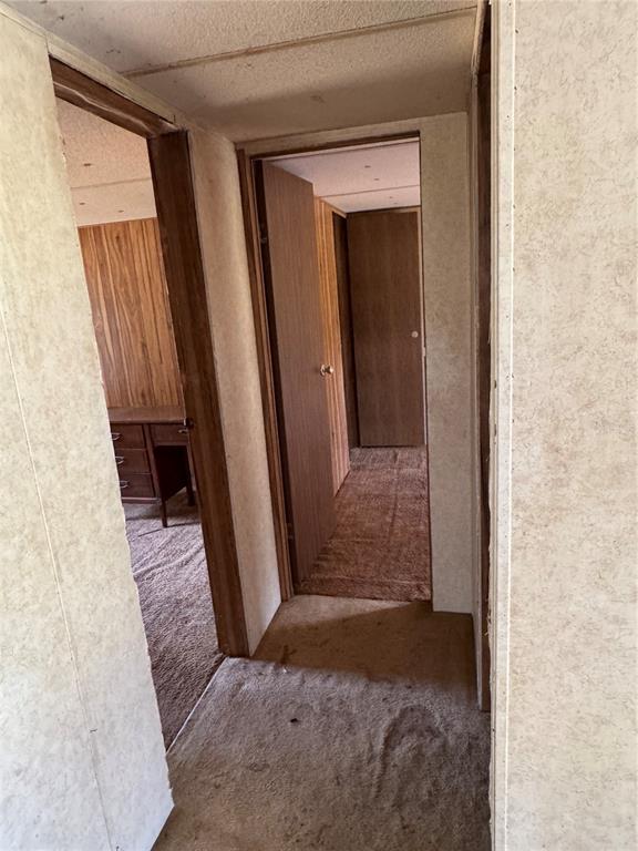 6001 185th Road Live Oak, FL 32060 - Photo 28 of 79