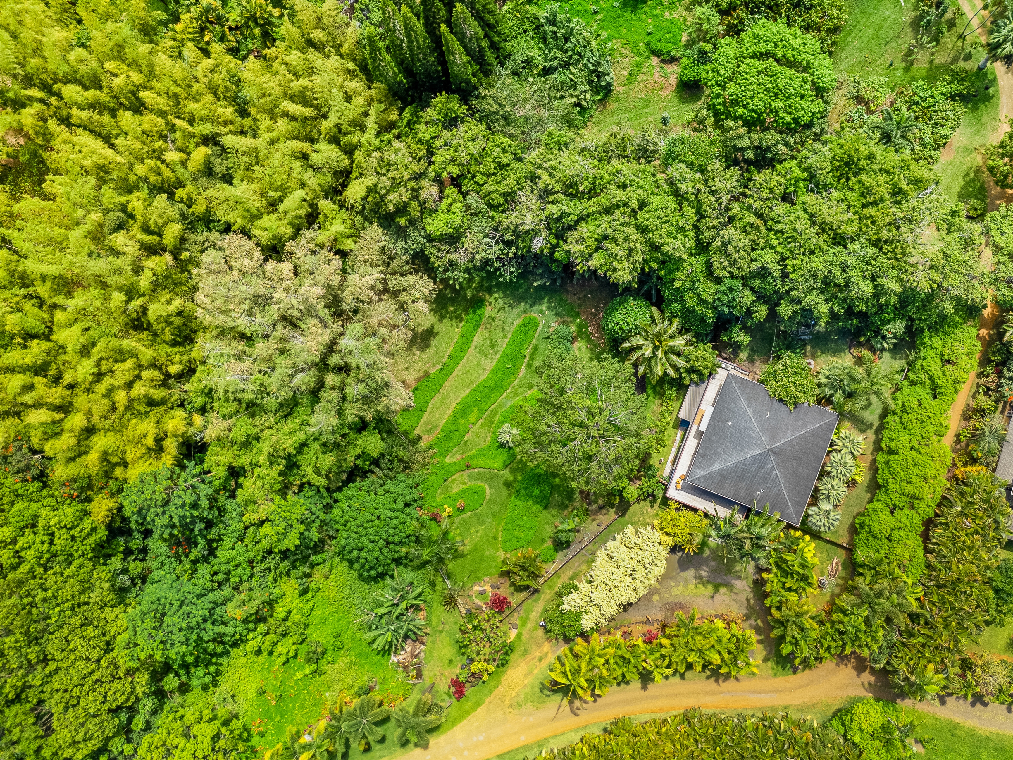 5728 Olohena Road Kapaa, HI 96746 - Photo 1 of 30 a view of a garden