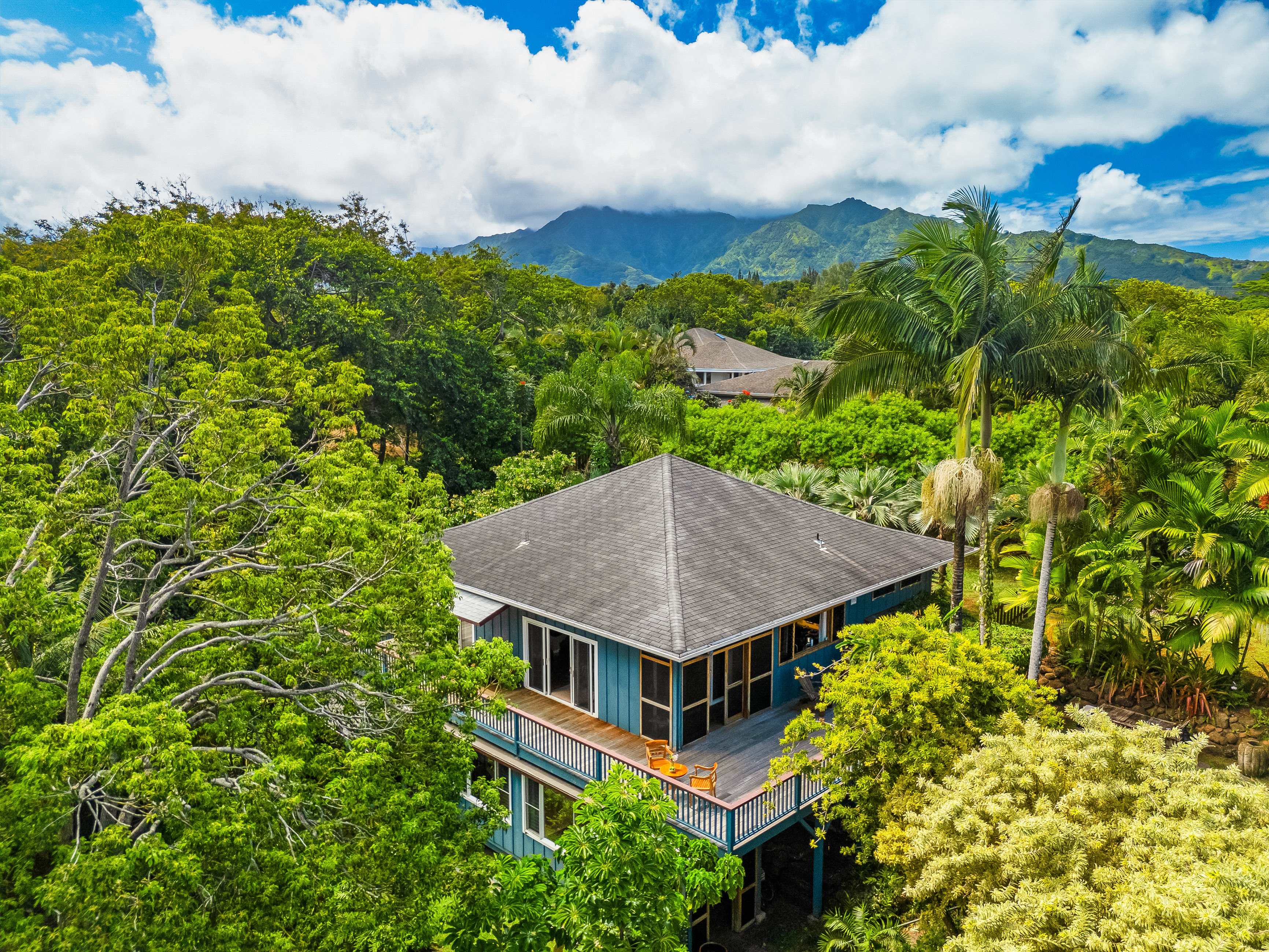 5728 Olohena Road Kapaa, HI 96746 - Photo 30 of 30 an aerial view of a house with a yard
