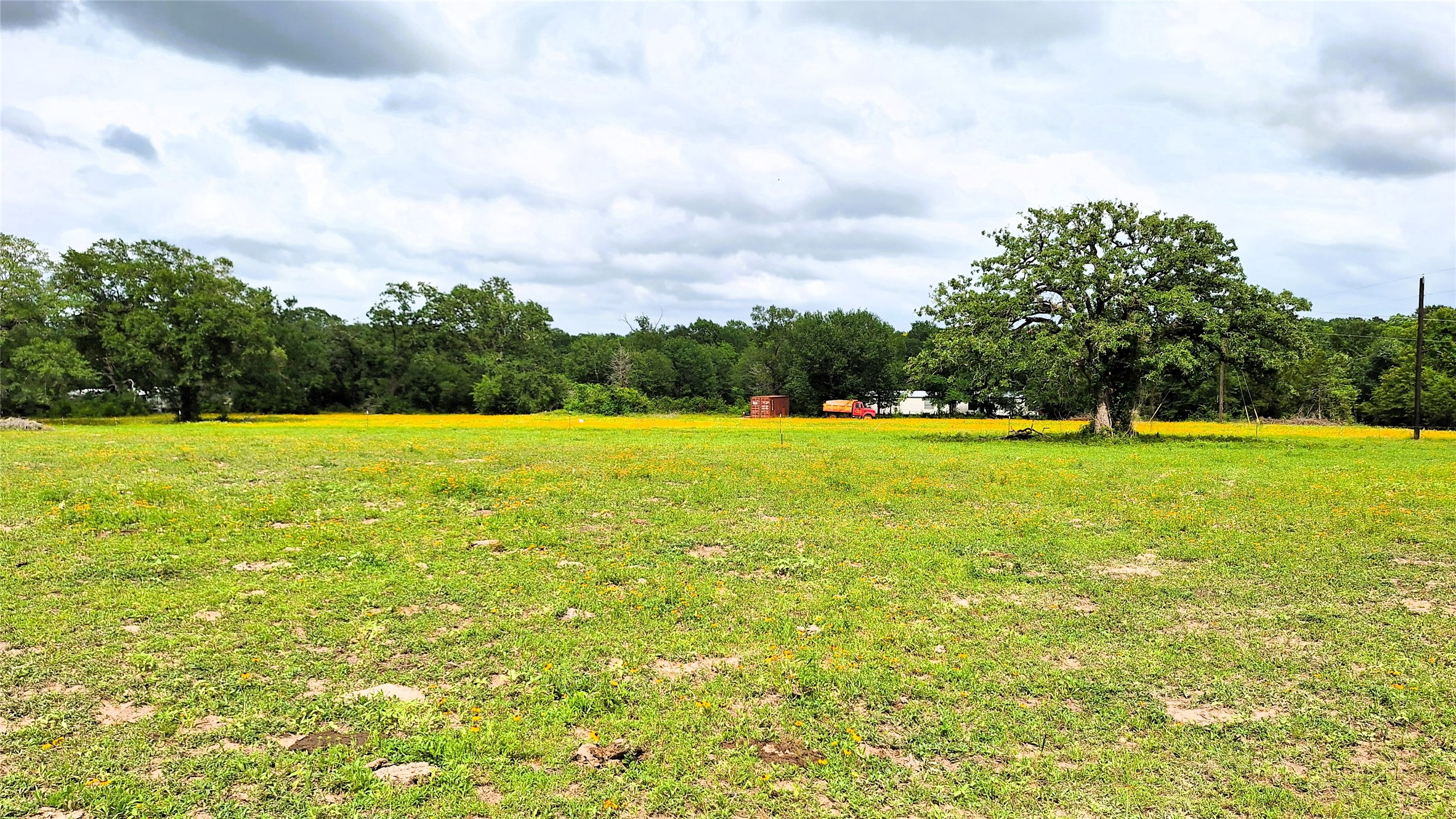 18155 Wellman Road Washington, TX 77880 - Photo 1 of 14 Side view of lot