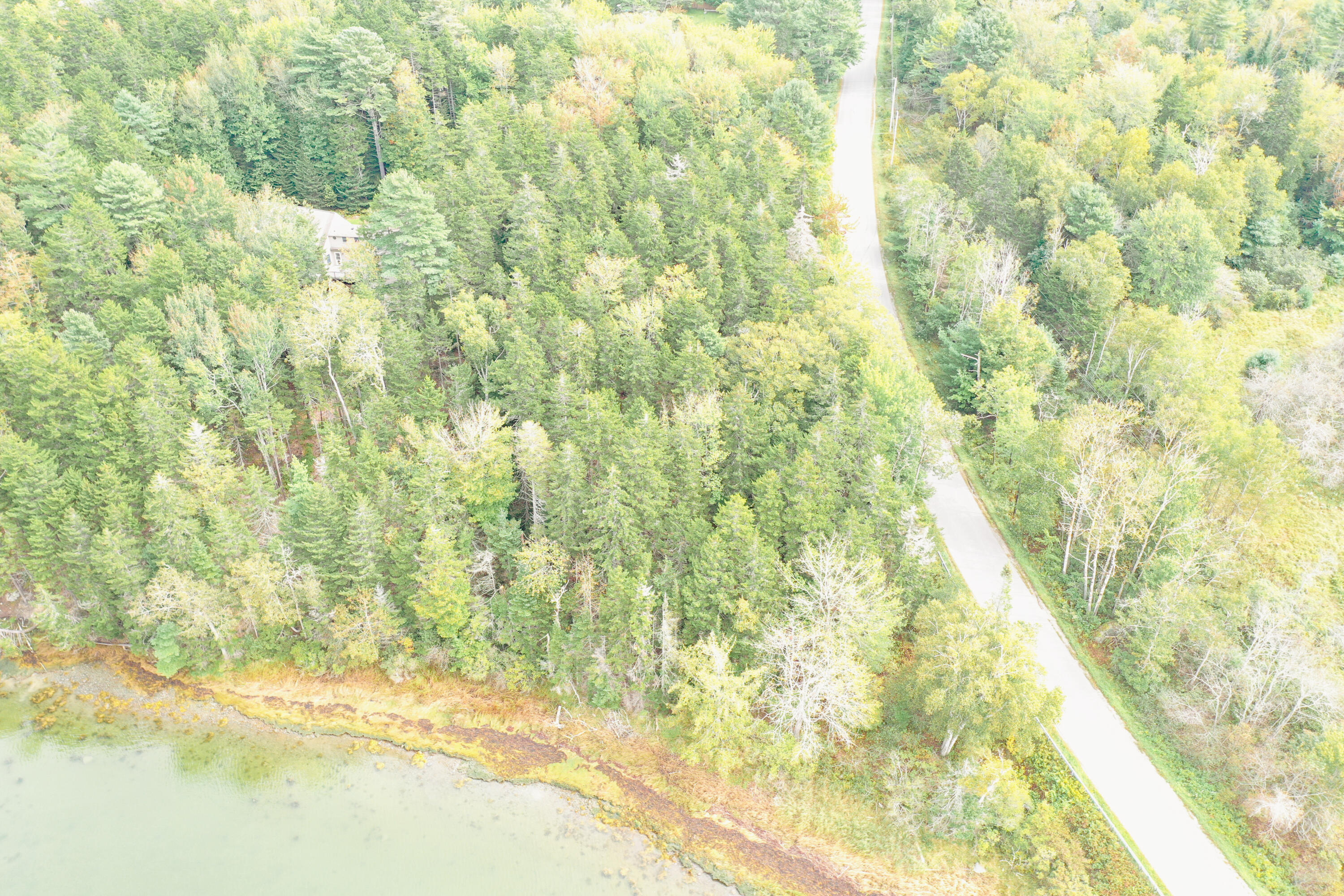 4 Turkey Cove Road Tenants Harbor, ME 04860 - Photo 8 of 15 Turkey Cove Road Land