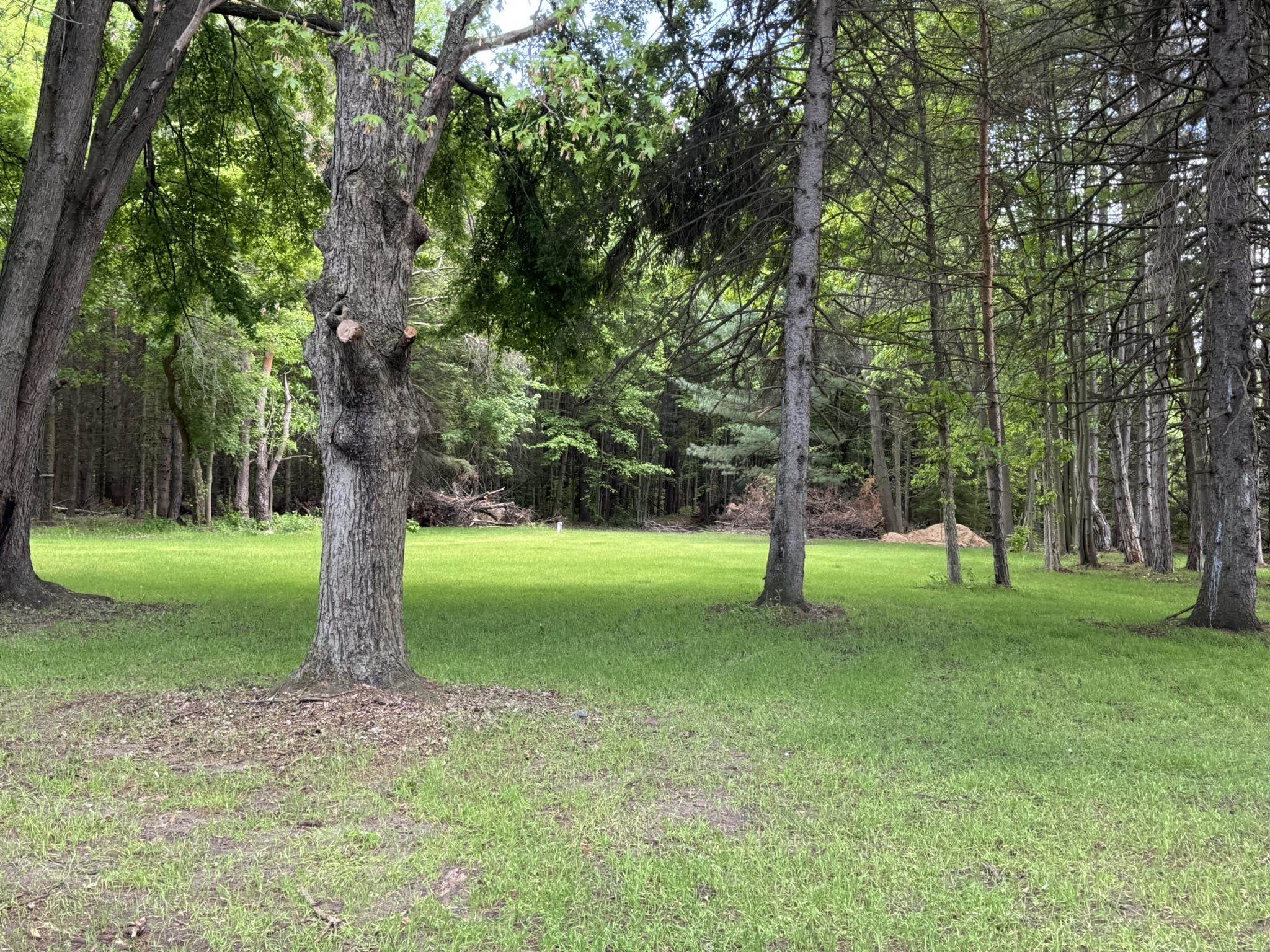8854 East Pickard Road Mount Pleasant, MI 48858 - Photo 5 of 19