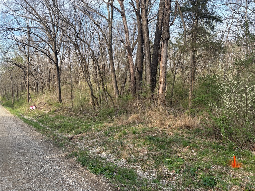 Applegate Road Bridgeport, IL 62417 - Photo 6 of 17