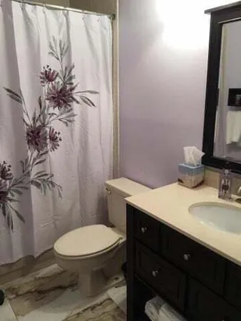 a bathroom with a granite countertop sink toilet and mirror