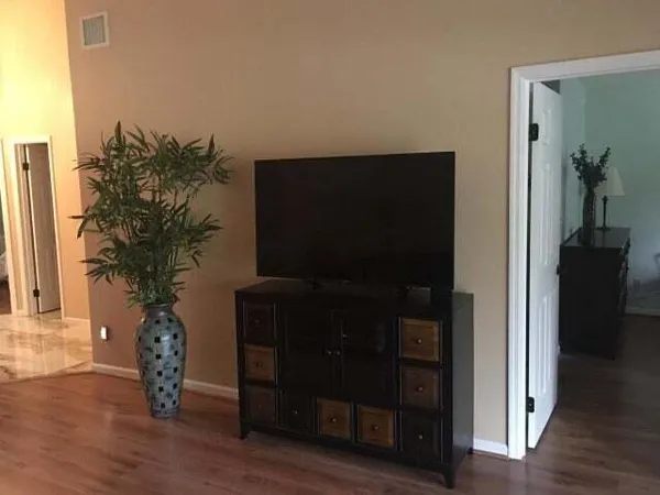 a living room with furniture and a potted plant